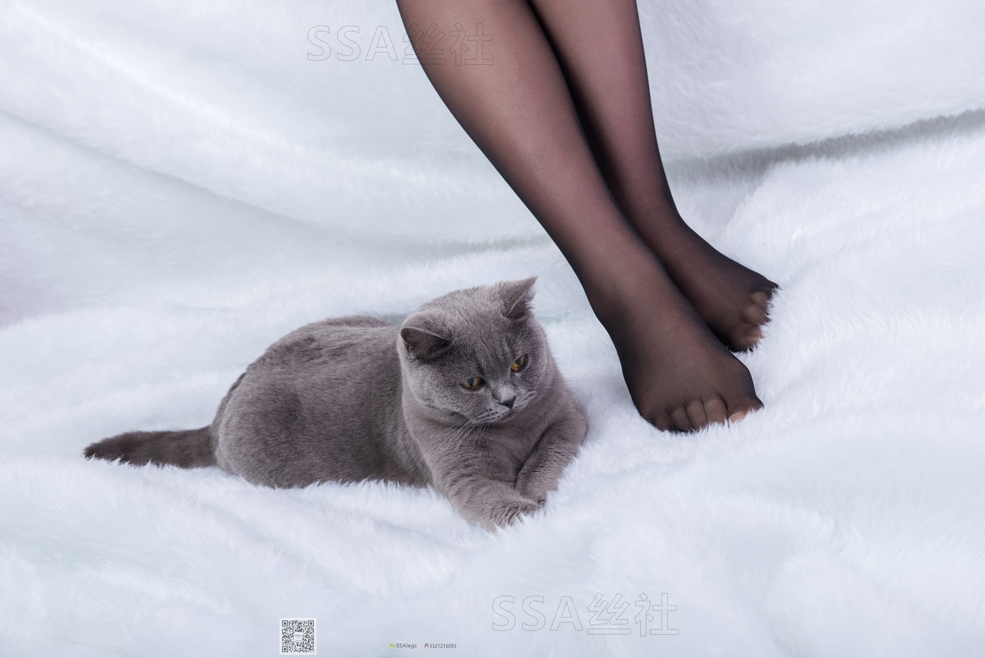 图片[112]-[SSA丝社]超清写真 NO.069 云云 复古旗袍黑丝穿搭示范[126P] – 速更版-美库