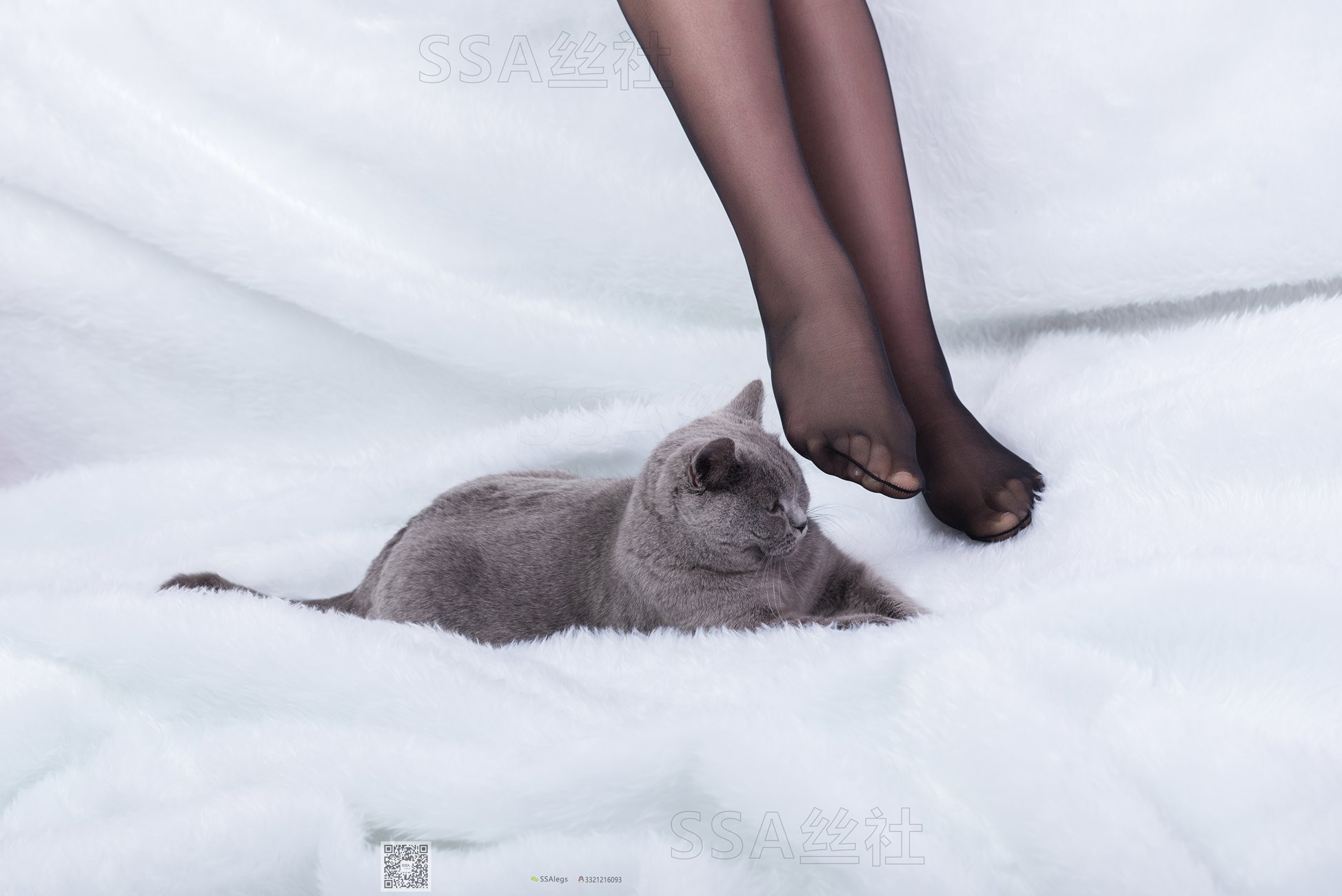 图片[113]-[SSA丝社]超清写真 NO.069 云云 复古旗袍黑丝穿搭示范[126P] – 速更版-美库