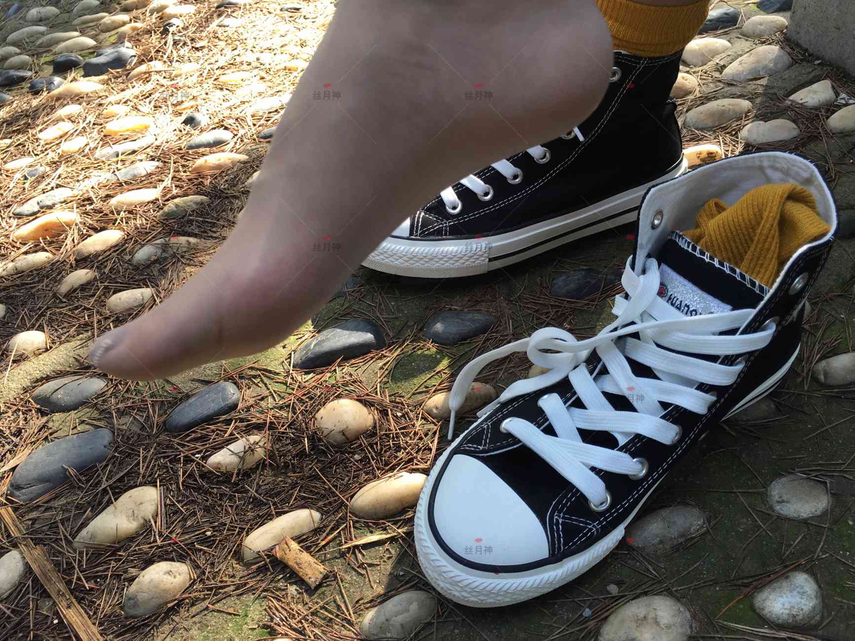 图片[11]-丝月神 011 堆堆袜 肉丝 匡威[78P] – 速更版-美库