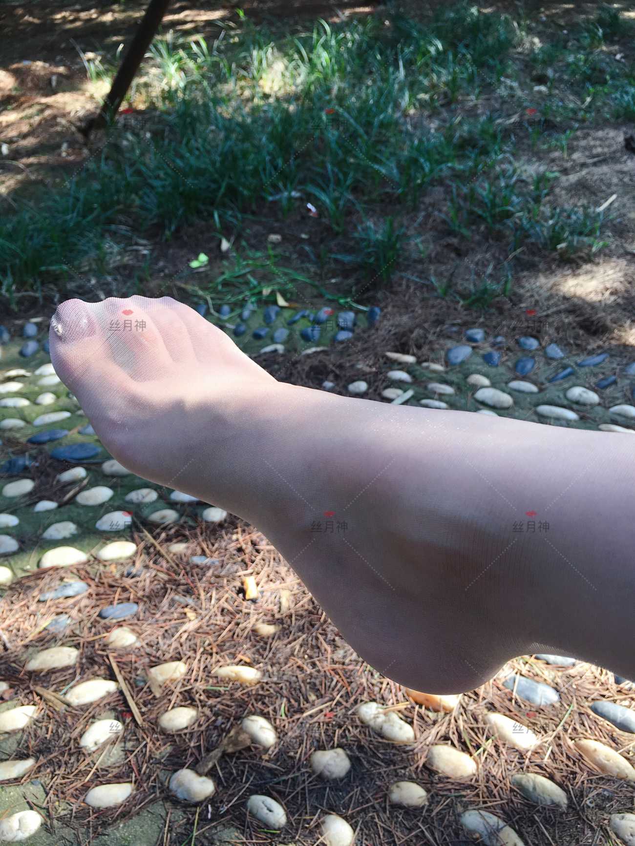 图片[12]-丝月神 011 堆堆袜 肉丝 匡威[78P] – 速更版-美库