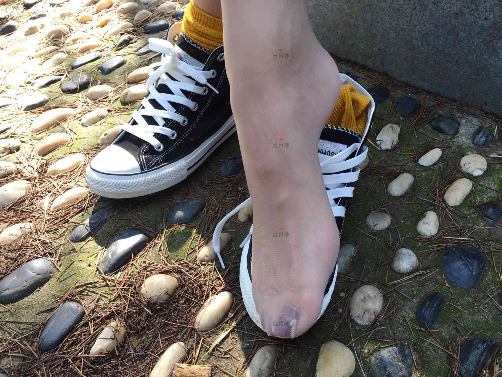 图片[13]-丝月神 011 堆堆袜 肉丝 匡威[78P] – 速更版-美库