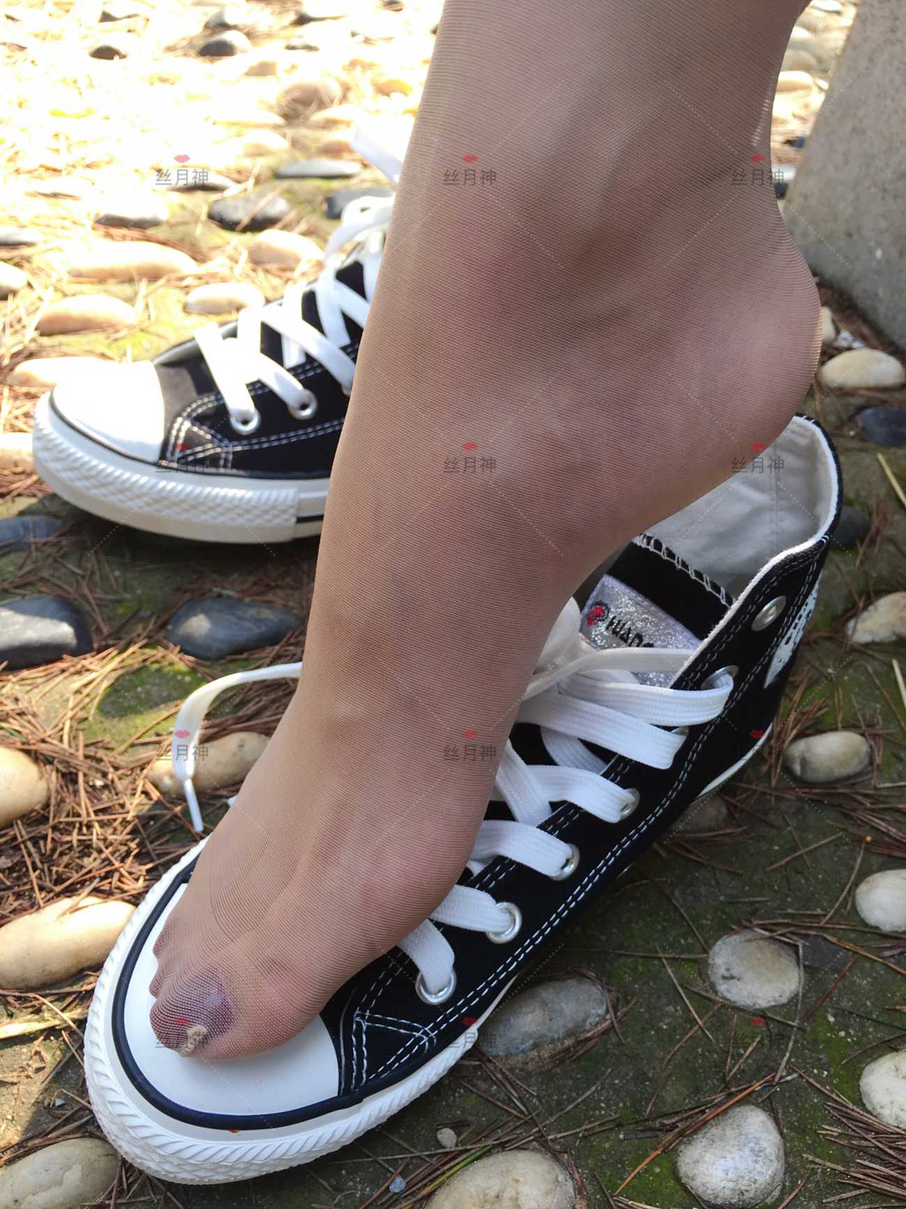 图片[14]-丝月神 011 堆堆袜 肉丝 匡威[78P] – 速更版-美库