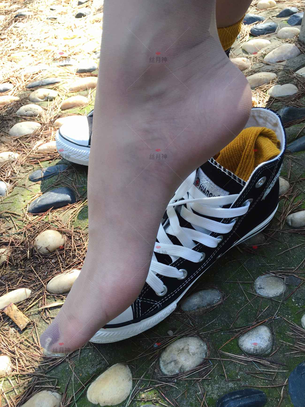 图片[15]-丝月神 011 堆堆袜 肉丝 匡威[78P] – 速更版-美库