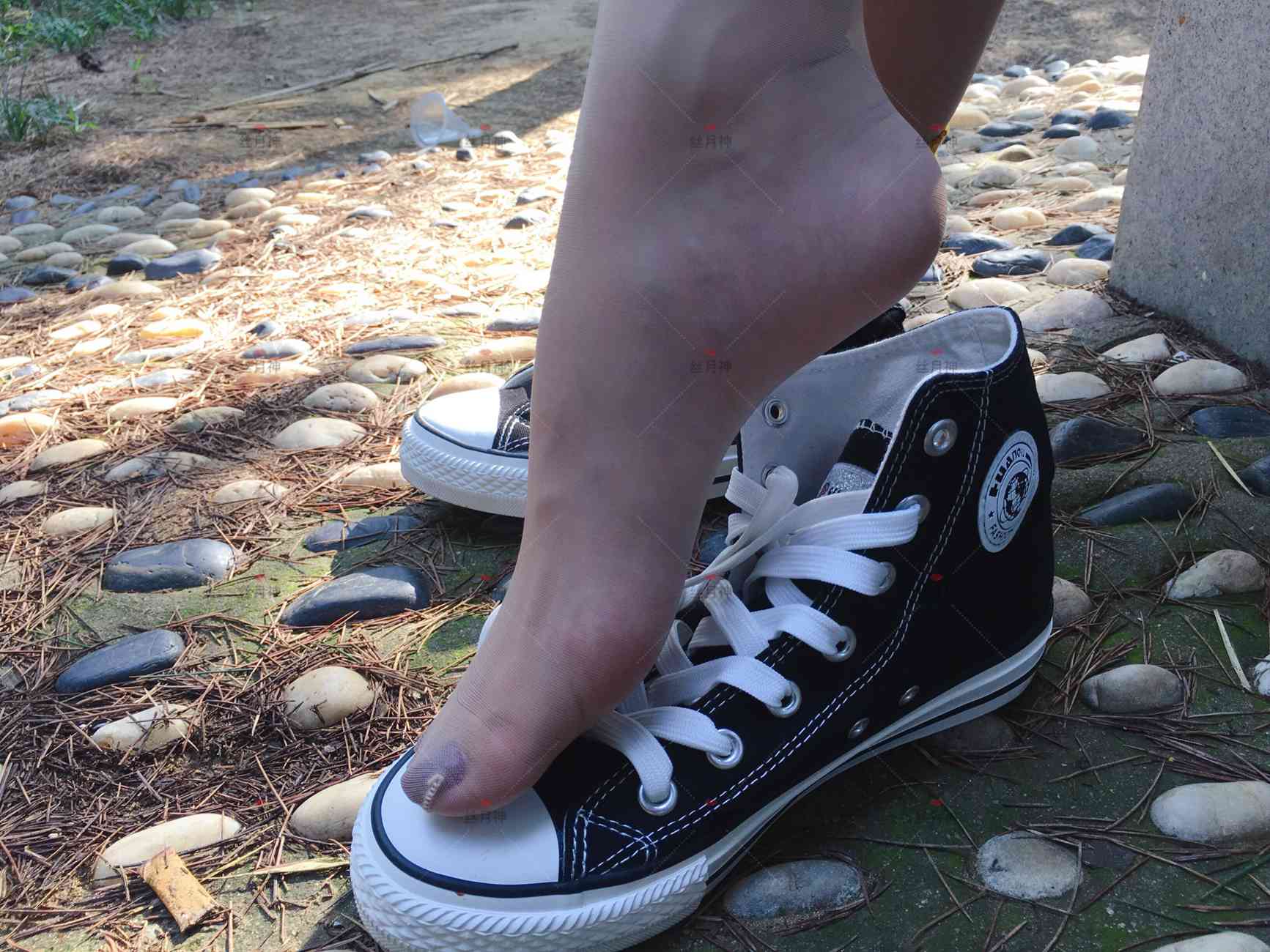 图片[16]-丝月神 011 堆堆袜 肉丝 匡威[78P] – 速更版-美库