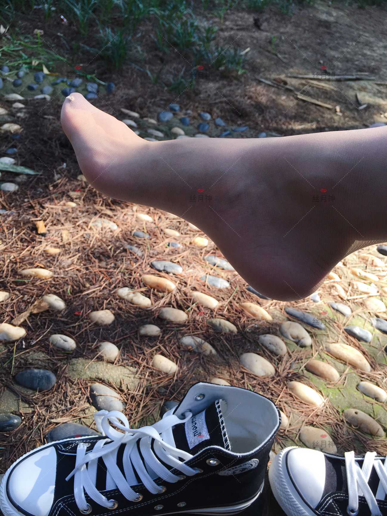 图片[17]-丝月神 011 堆堆袜 肉丝 匡威[78P] – 速更版-美库