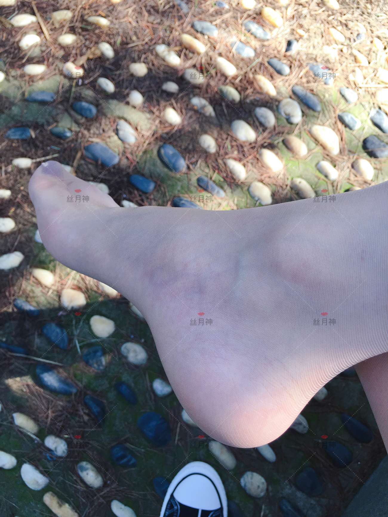 图片[19]-丝月神 011 堆堆袜 肉丝 匡威[78P] – 速更版-美库