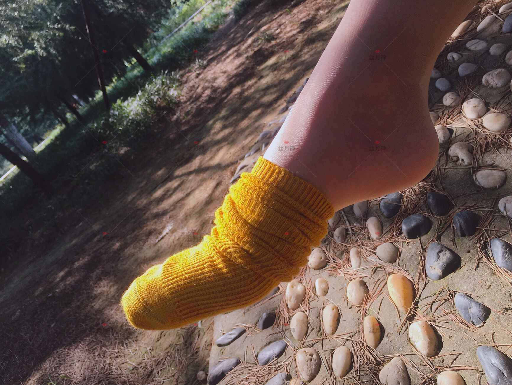 图片[21]-丝月神 011 堆堆袜 肉丝 匡威[78P] – 速更版-美库