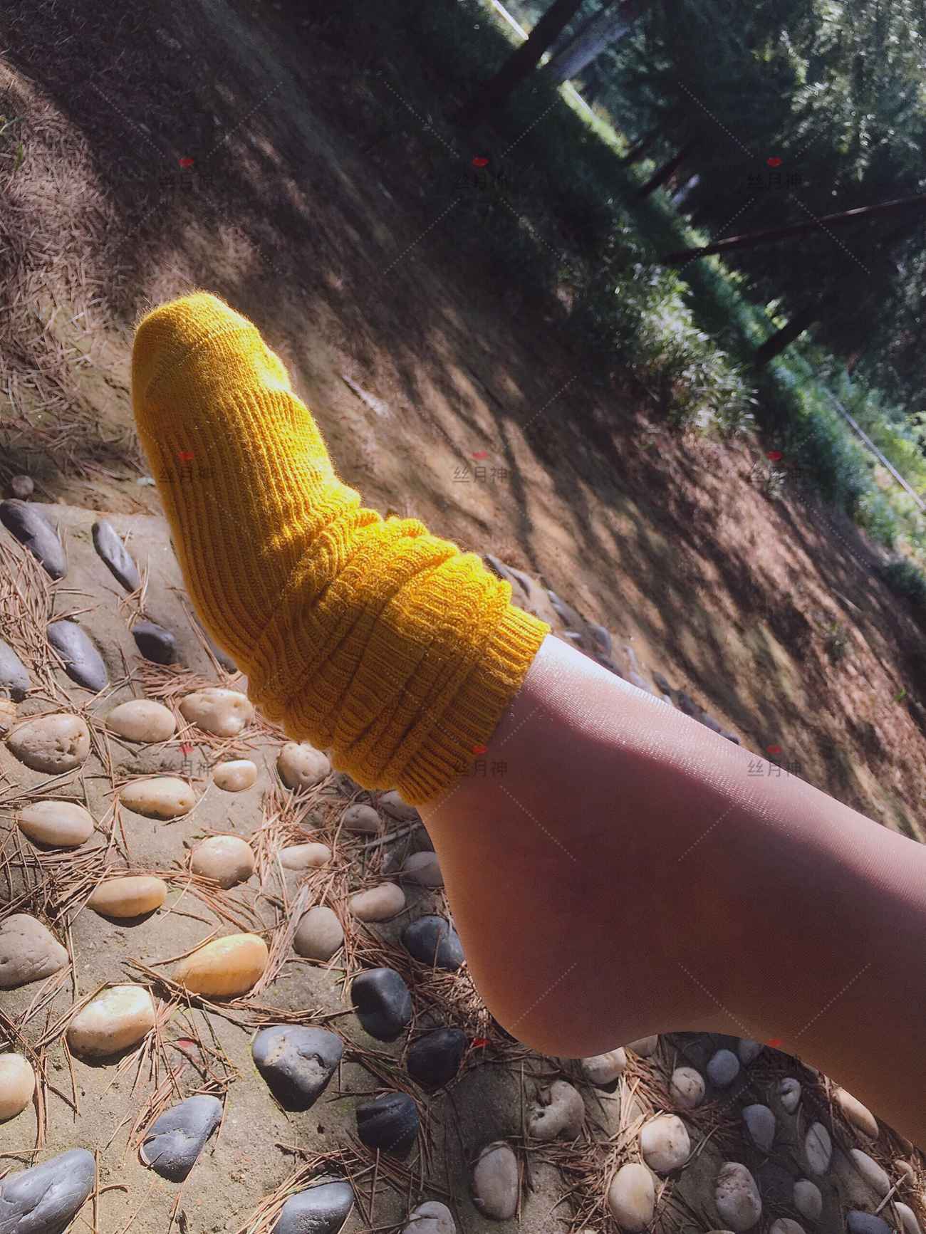 图片[24]-丝月神 011 堆堆袜 肉丝 匡威[78P] – 速更版-美库