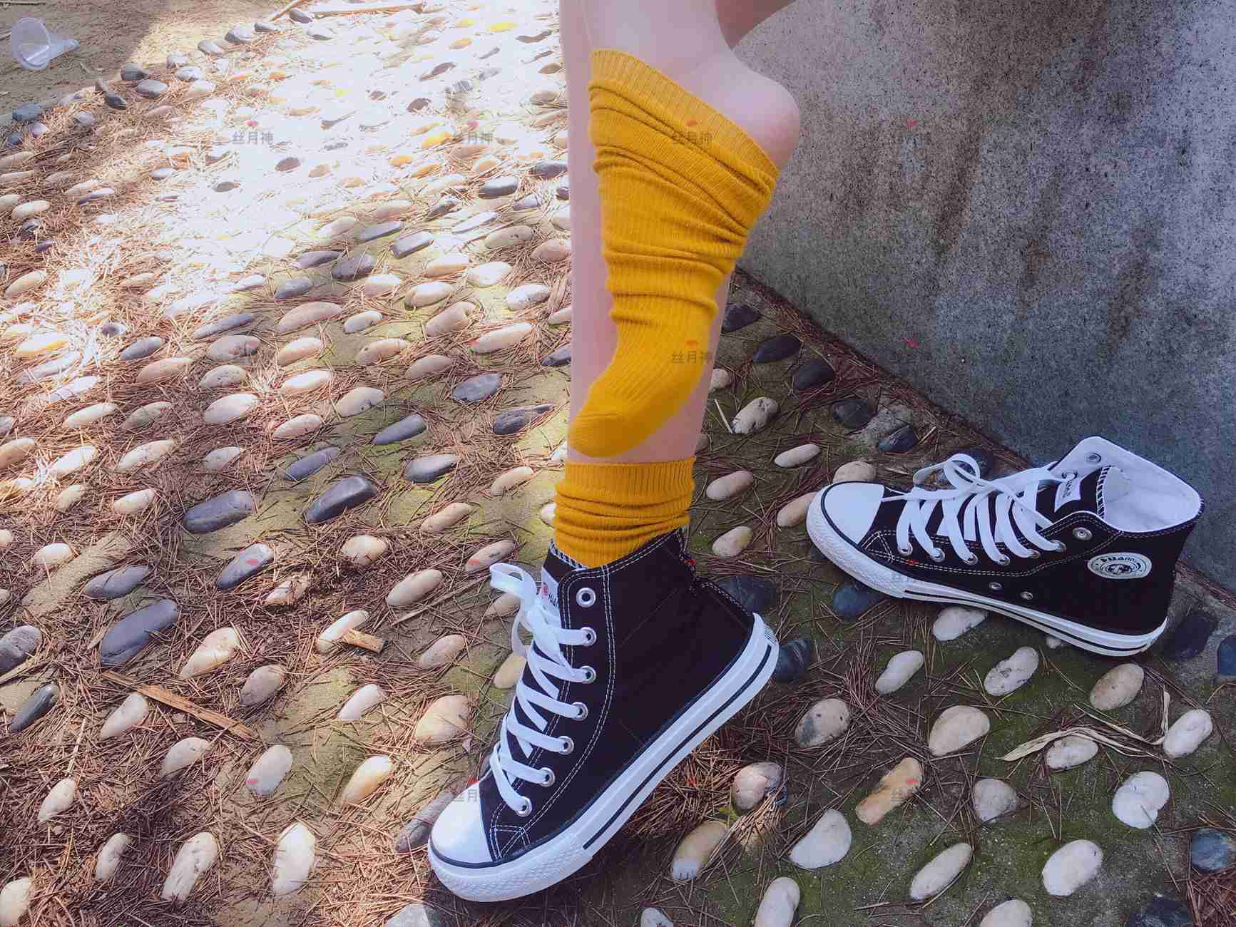 图片[25]-丝月神 011 堆堆袜 肉丝 匡威[78P] – 速更版-美库