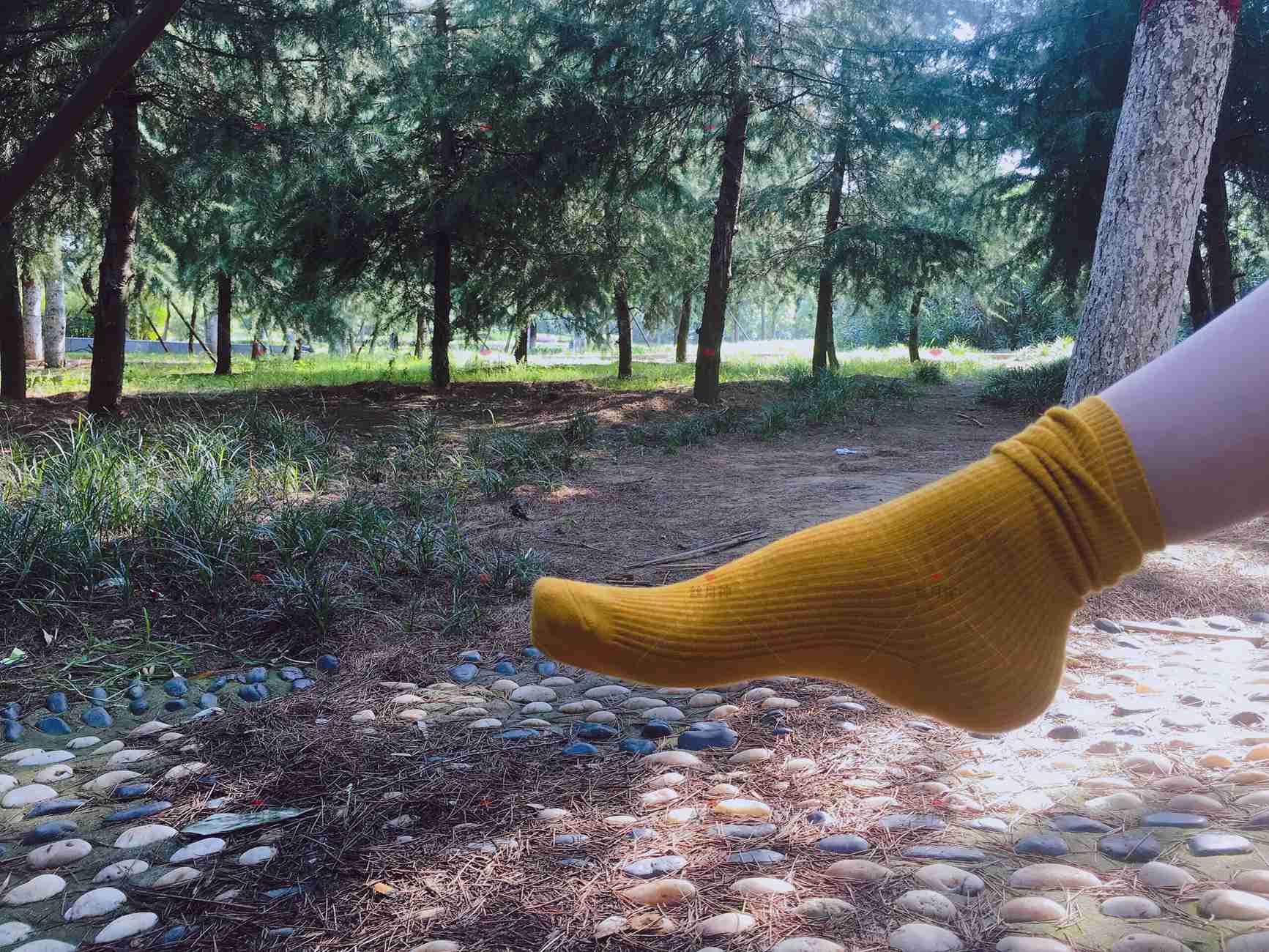 图片[33]-丝月神 011 堆堆袜 肉丝 匡威[78P] – 速更版-美库