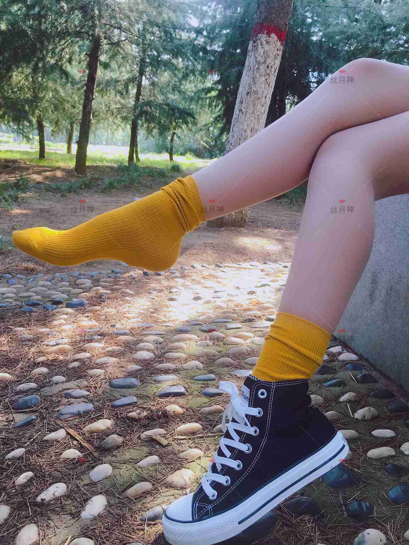 图片[37]-丝月神 011 堆堆袜 肉丝 匡威[78P] – 速更版-美库