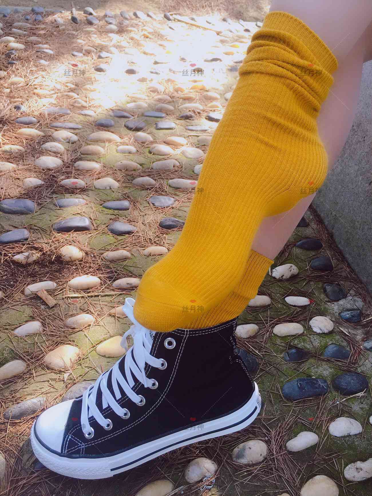 图片[38]-丝月神 011 堆堆袜 肉丝 匡威[78P] – 速更版-美库