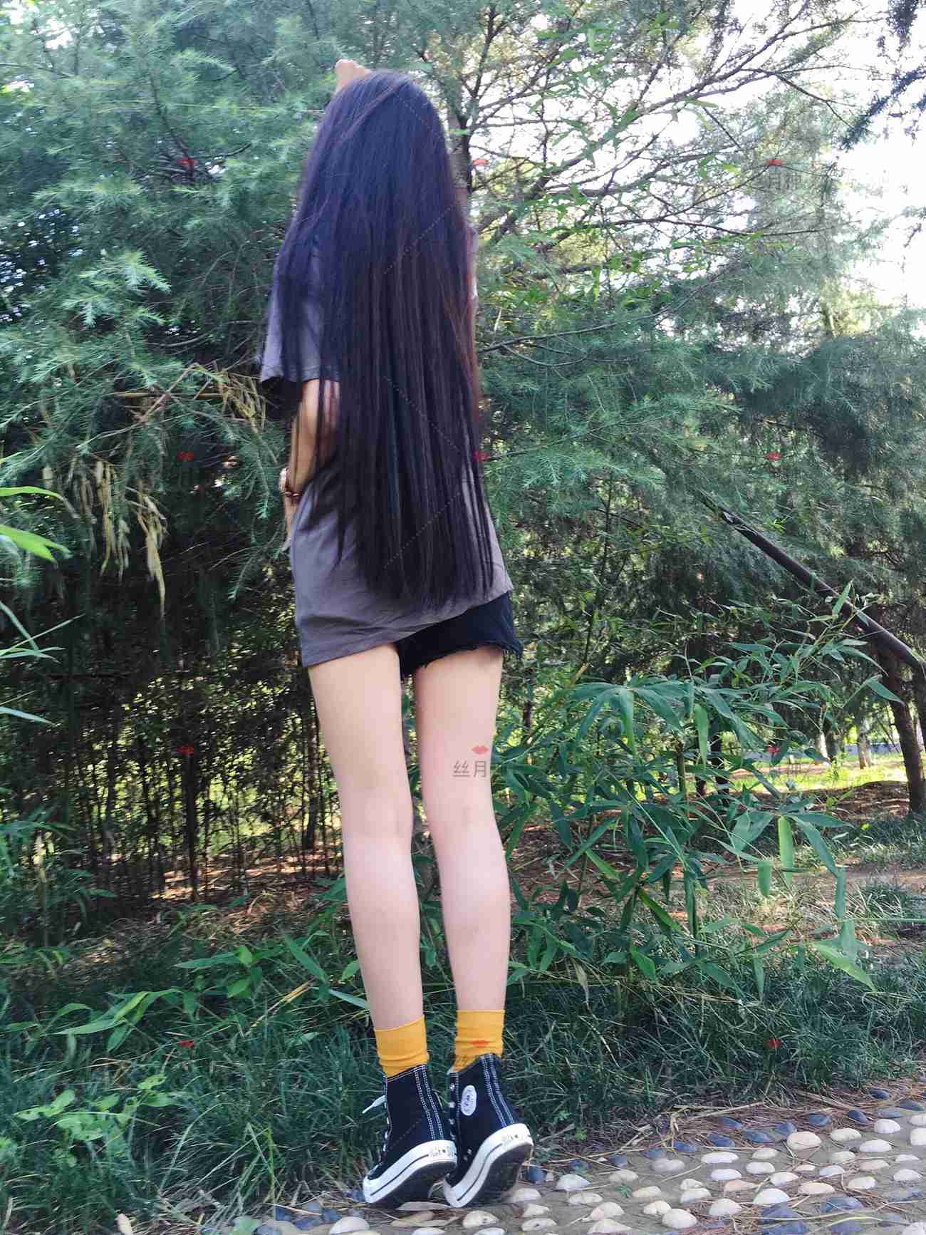 图片[73]-丝月神 011 堆堆袜 肉丝 匡威[78P] – 速更版-美库