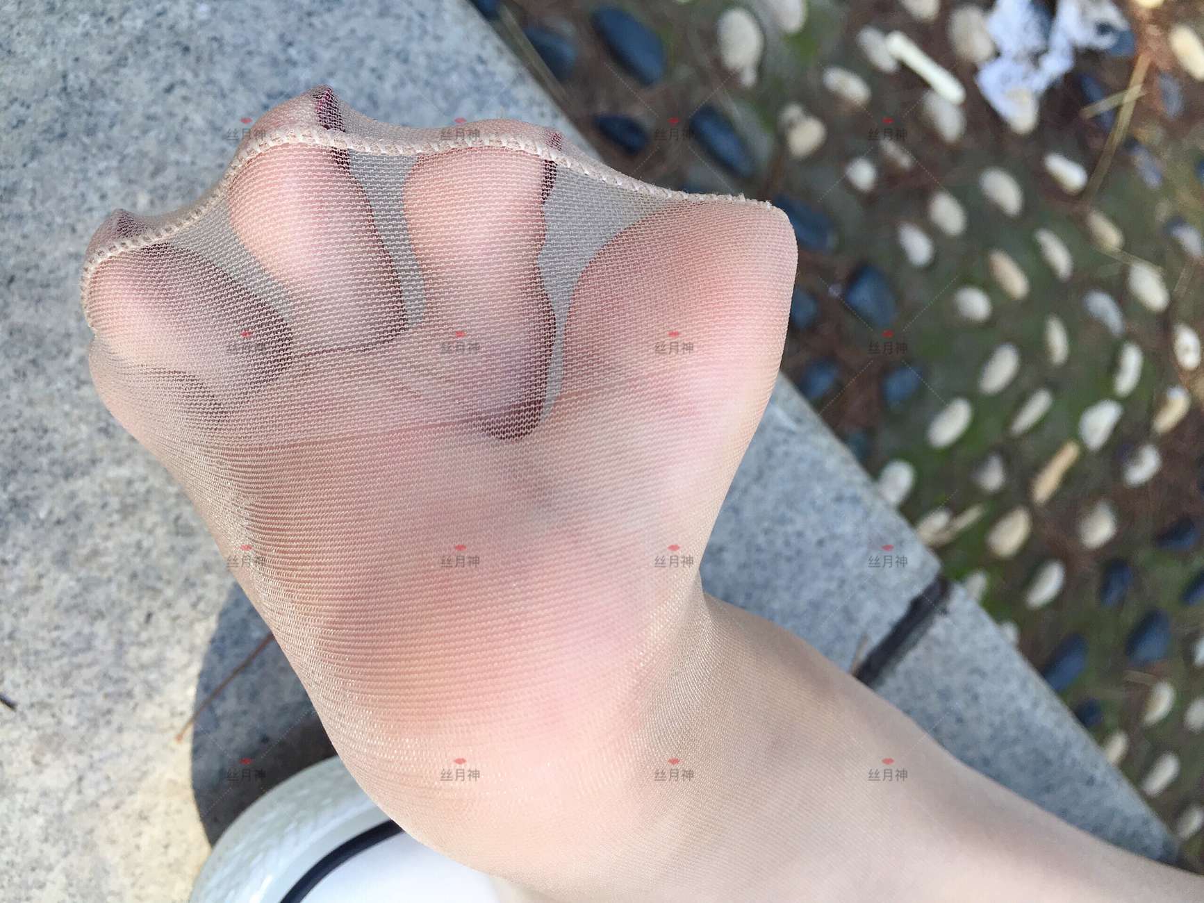 图片[79]-丝月神 011 堆堆袜 肉丝 匡威[78P] – 速更版-美库