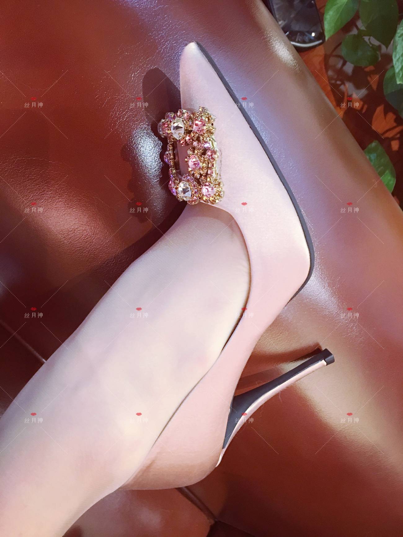 图片[37]-丝月神 013 肉丝 香槟色方扣高跟[73P] – 速更版-美库