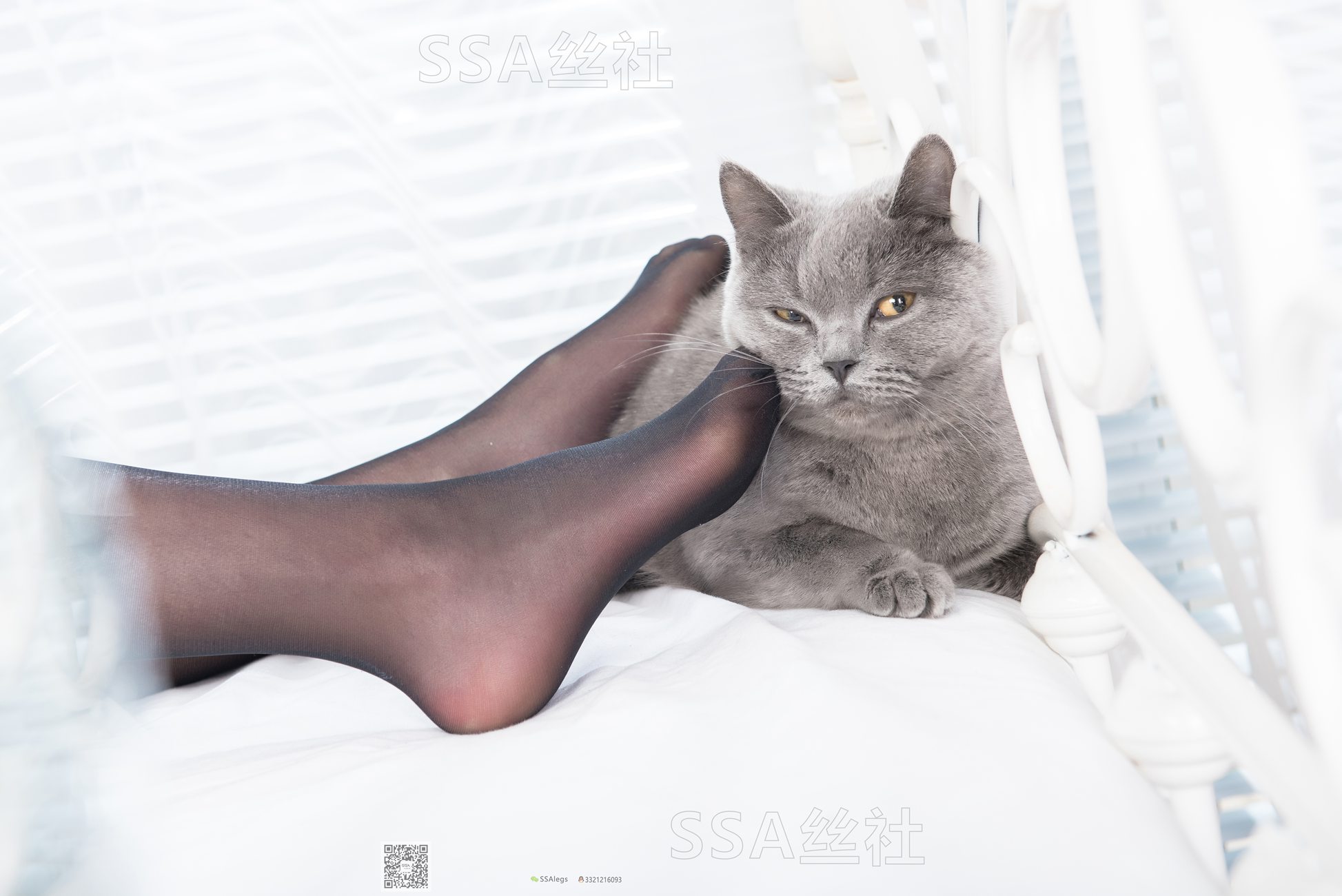 图片[15]-[SSA丝社]超清写真 NO.081 佳佳 黑色星期五[172P] – 速更版-美库