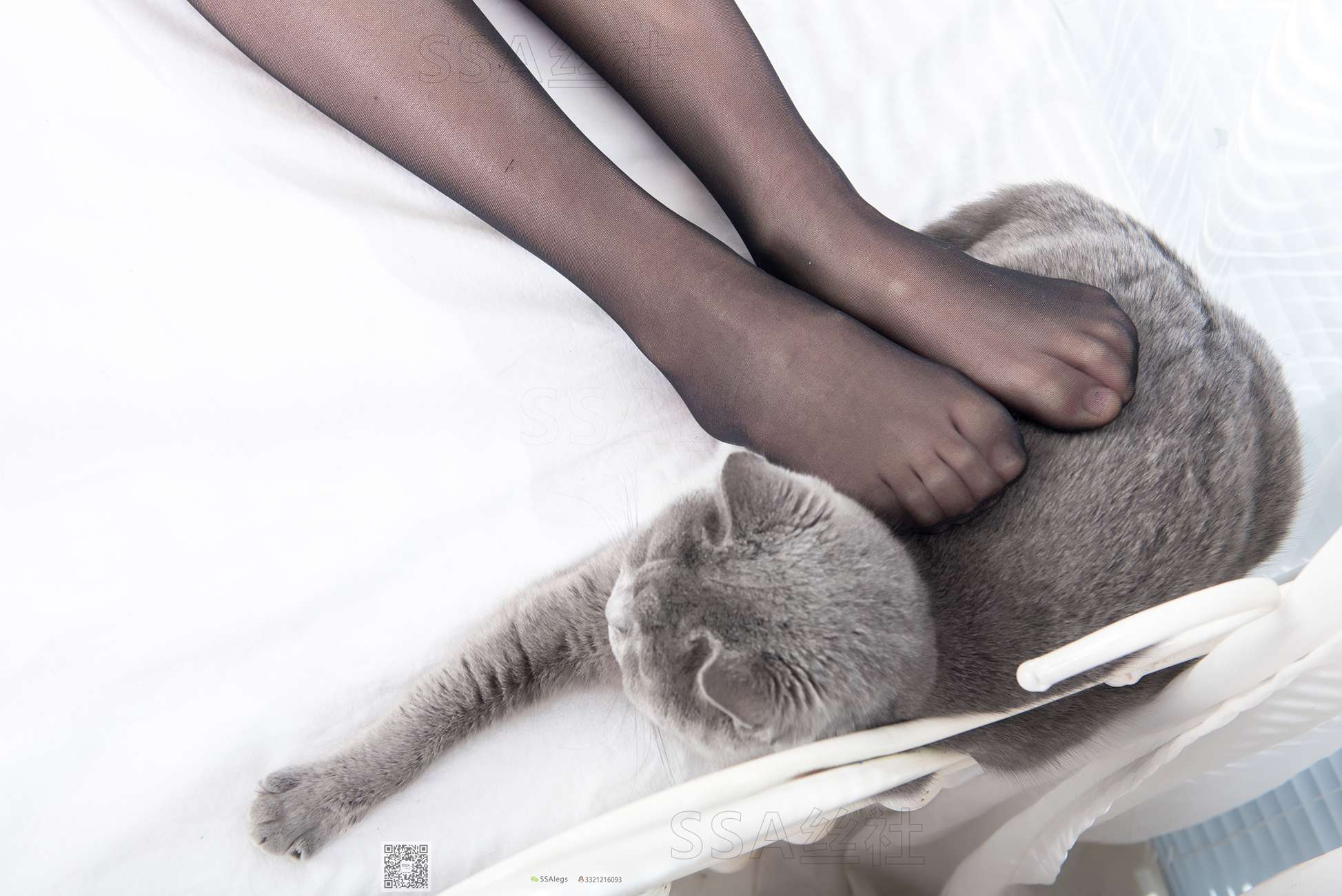 图片[23]-[SSA丝社]超清写真 NO.081 佳佳 黑色星期五[172P] – 速更版-美库