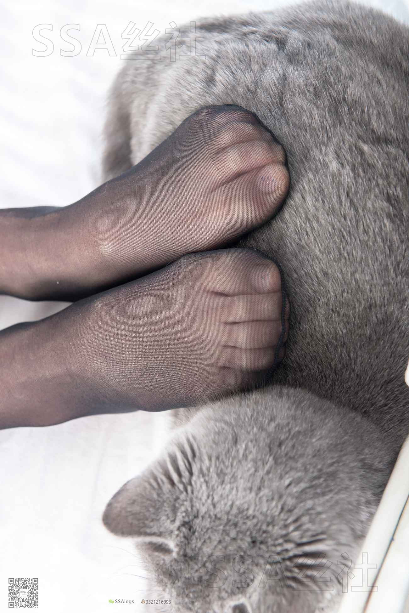 图片[24]-[SSA丝社]超清写真 NO.081 佳佳 黑色星期五[172P] – 速更版-美库