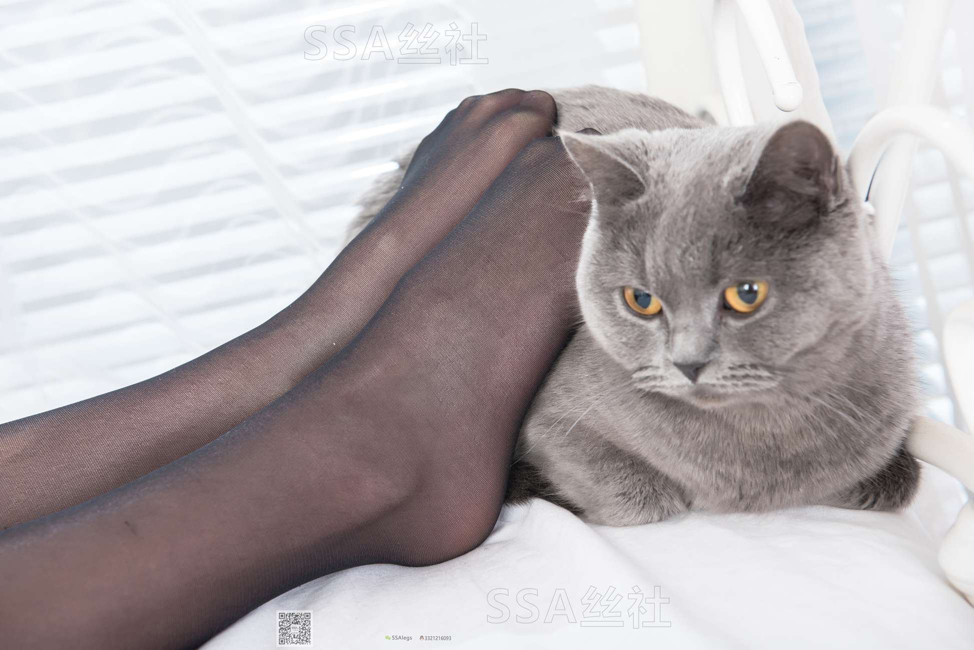 图片[25]-[SSA丝社]超清写真 NO.081 佳佳 黑色星期五[172P] – 速更版-美库