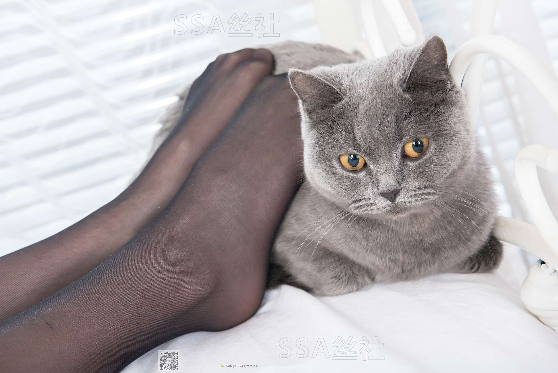 图片[26]-[SSA丝社]超清写真 NO.081 佳佳 黑色星期五[172P] – 速更版-美库