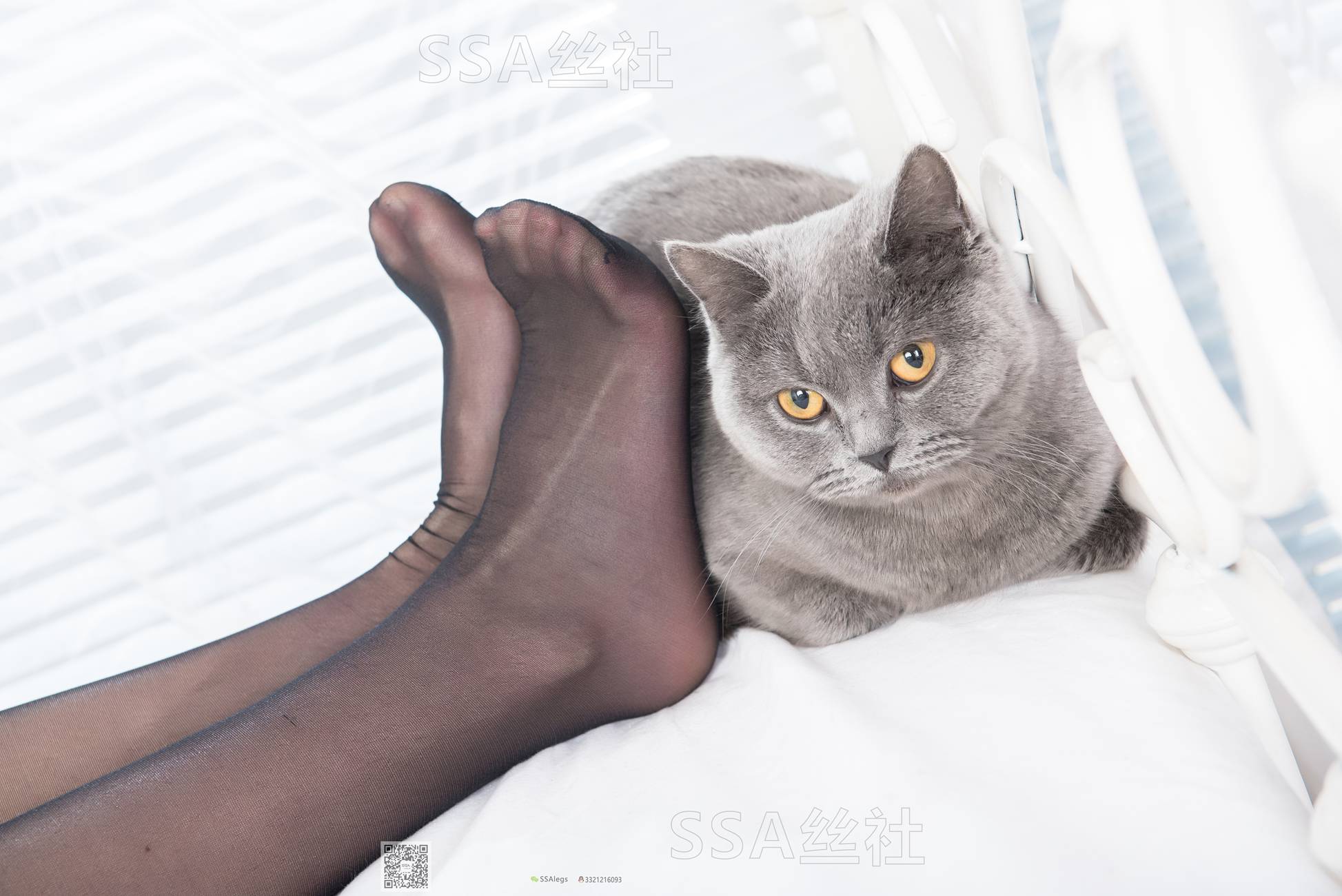 图片[27]-[SSA丝社]超清写真 NO.081 佳佳 黑色星期五[172P] – 速更版-美库