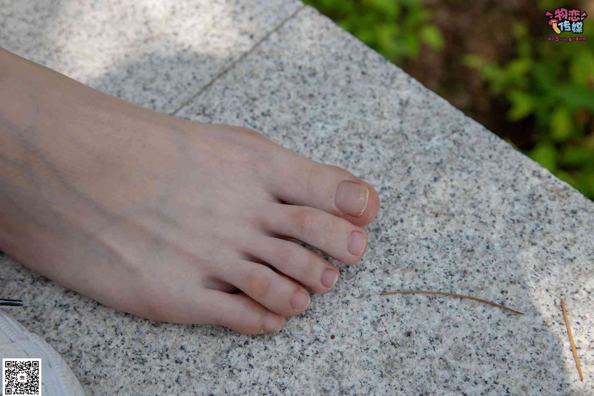 图片[49]-物恋传媒 No.023 腿长即正义！清纯长腿小姐姐帆布鞋配短棉袜 [235P] – 速更版-美库