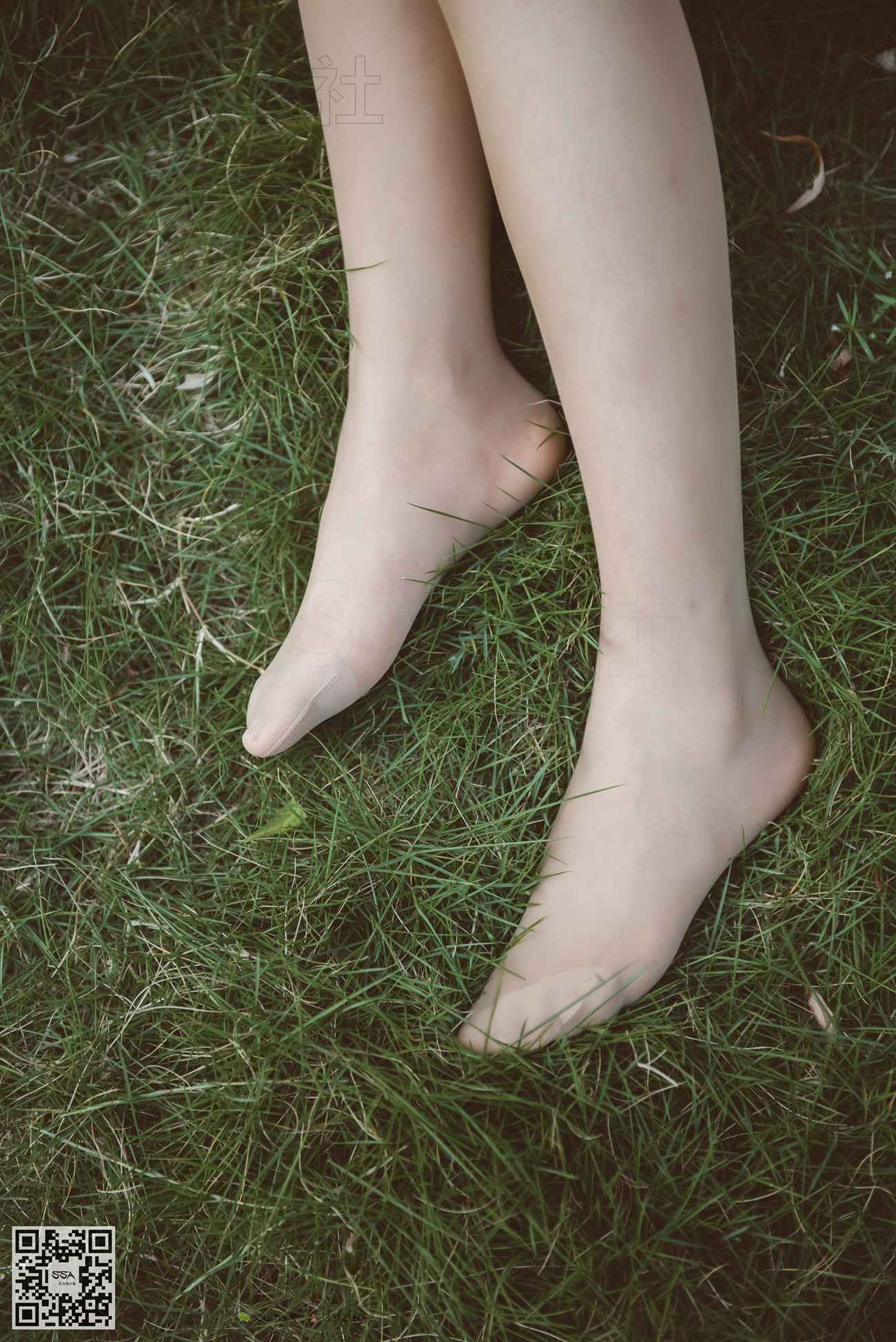 图片[155]-[SSA丝社]超清写真 NO.111 君君 腿模君君的旗袍秀[163P] – 速更版-美库