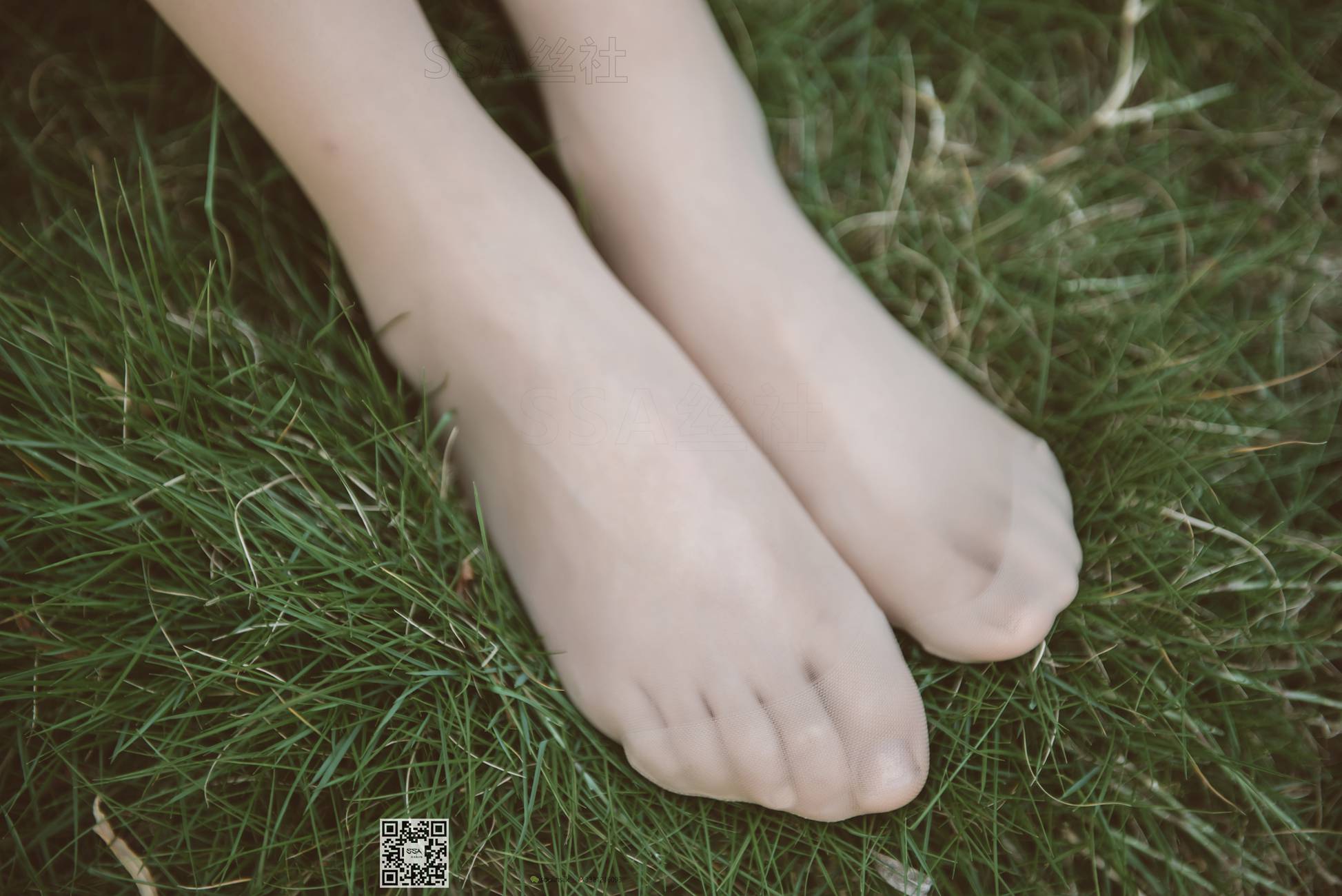 图片[163]-[SSA丝社]超清写真 NO.111 君君 腿模君君的旗袍秀[163P] – 速更版-美库