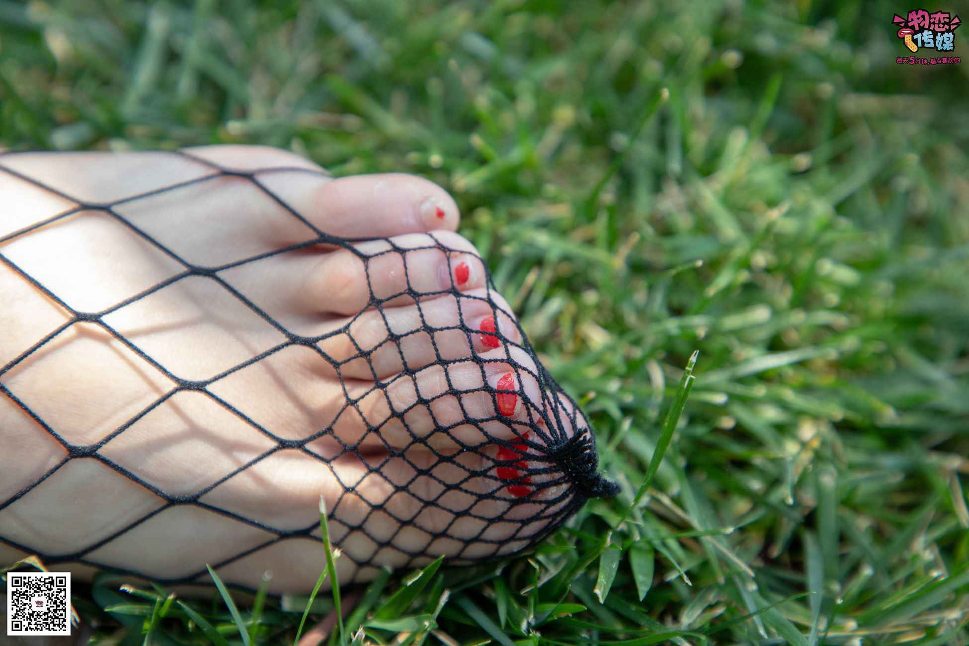 图片[68]-勿恋传媒 No.026 白T恤搭配黑色渔往袜,清纯与姓感的基情碰撞 [181P] – 速更版-美库