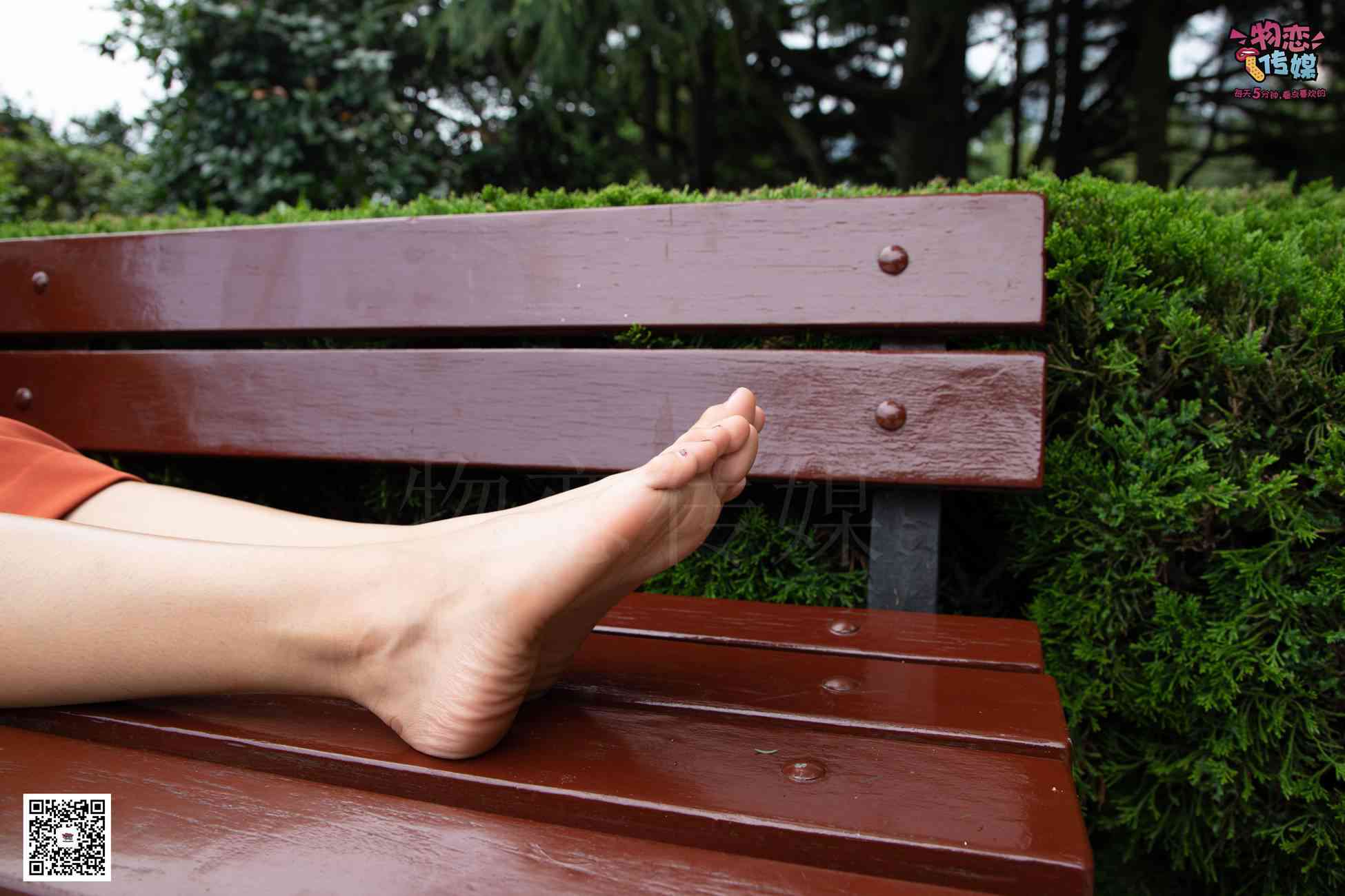 图片[67]-物恋传媒 No.031 最是那一低头的温柔,像一朵水莲花不胜凉风的娇羞 [317P] – 速更版-美库