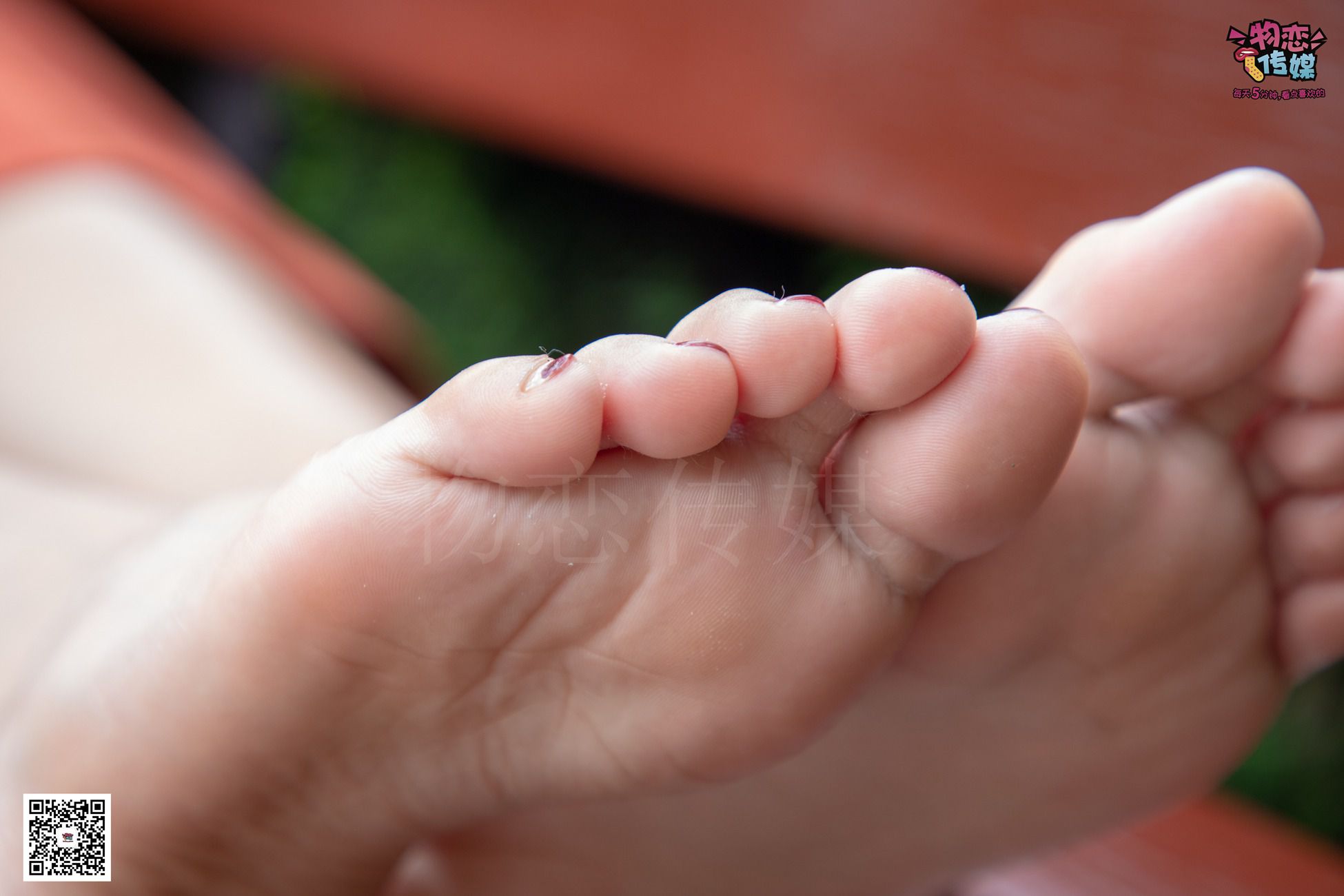 图片[71]-物恋传媒 No.031 最是那一低头的温柔,像一朵水莲花不胜凉风的娇羞 [317P] – 速更版-美库