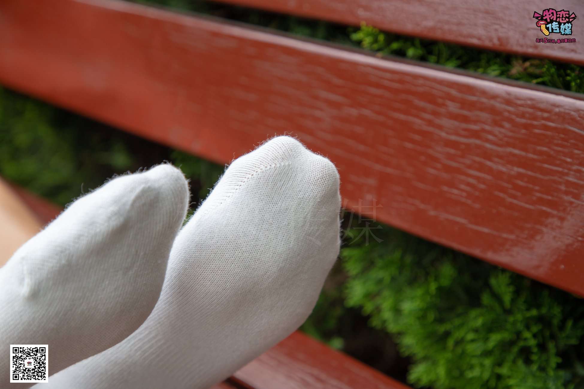 图片[318]-物恋传媒 No.031 最是那一低头的温柔,像一朵水莲花不胜凉风的娇羞 [317P] – 速更版-美库