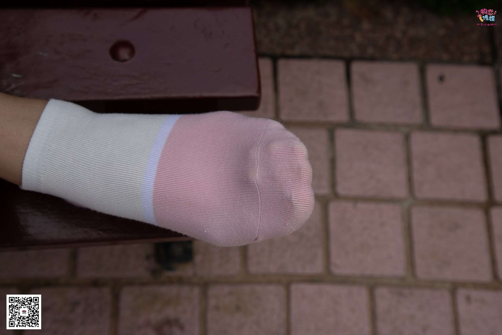 图片[59]-勿恋传媒 No.037 海边的白百合公园长椅休闲镁足[164P] – 速更版-美库