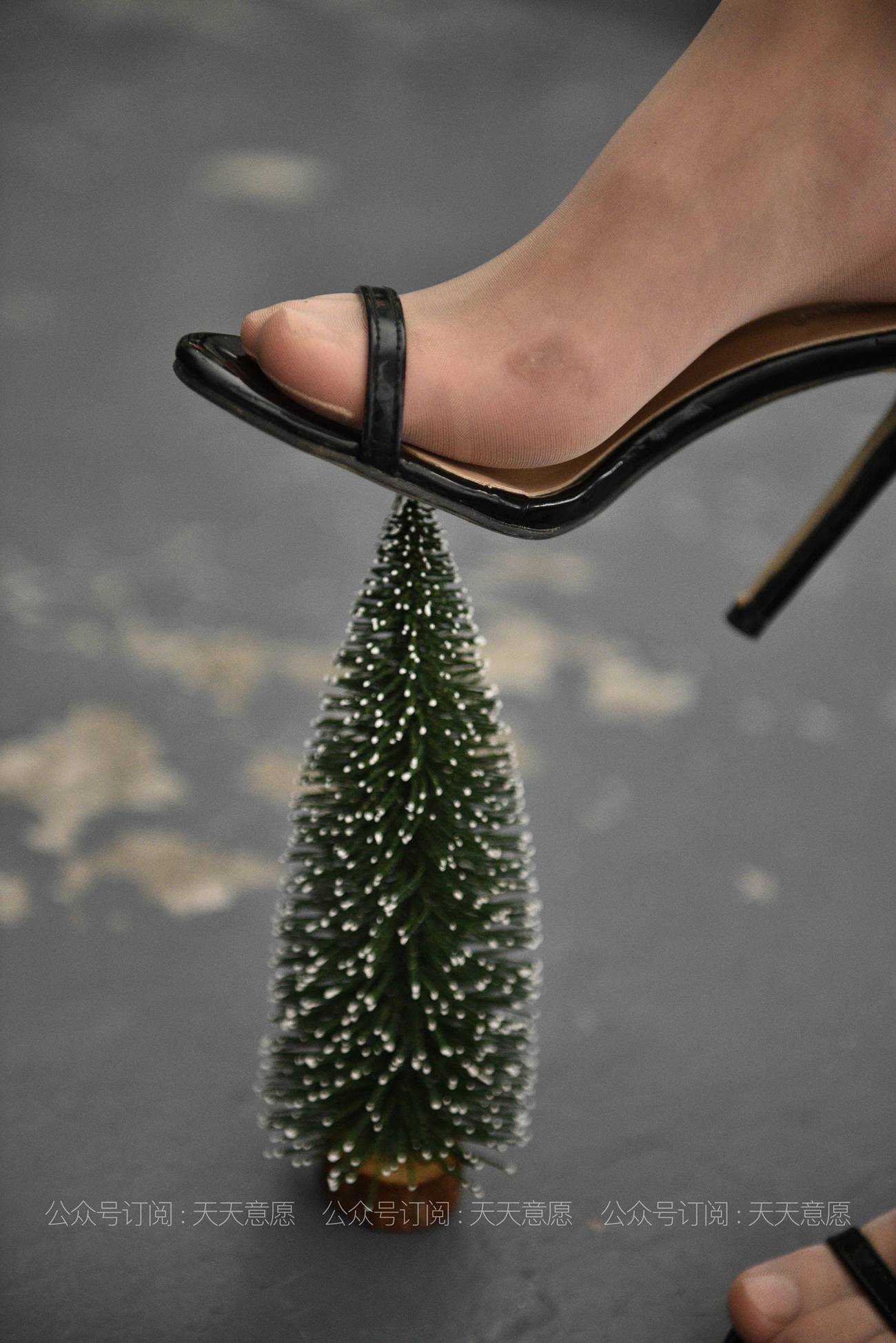 图片[12]-[IESS异思趣向] 2021.04.21 丝享家786：小六《肉丝下午茶》[88P] – 速更版-美库