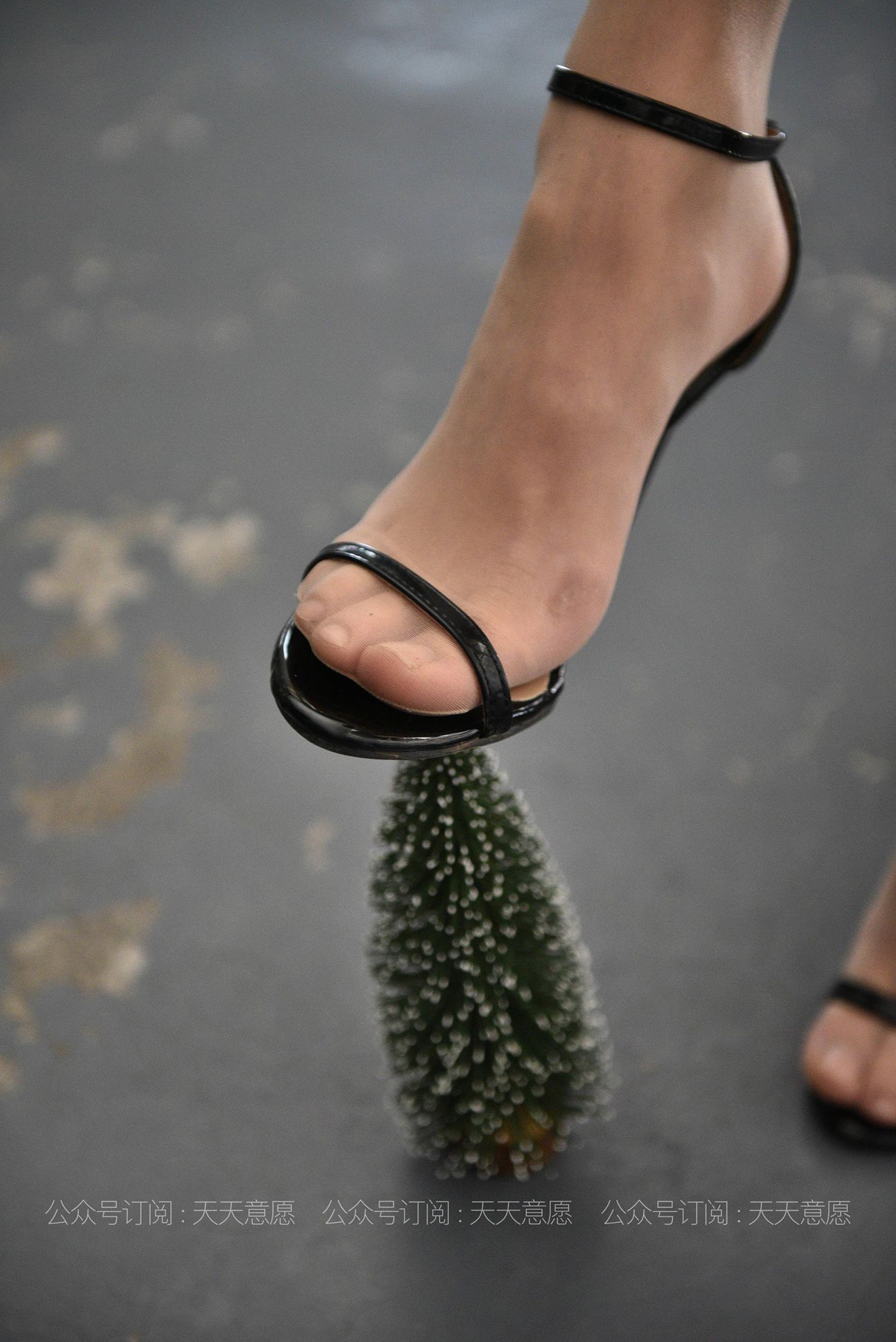 图片[14]-[IESS异思趣向] 2021.04.21 丝享家786：小六《肉丝下午茶》[88P] – 速更版-美库