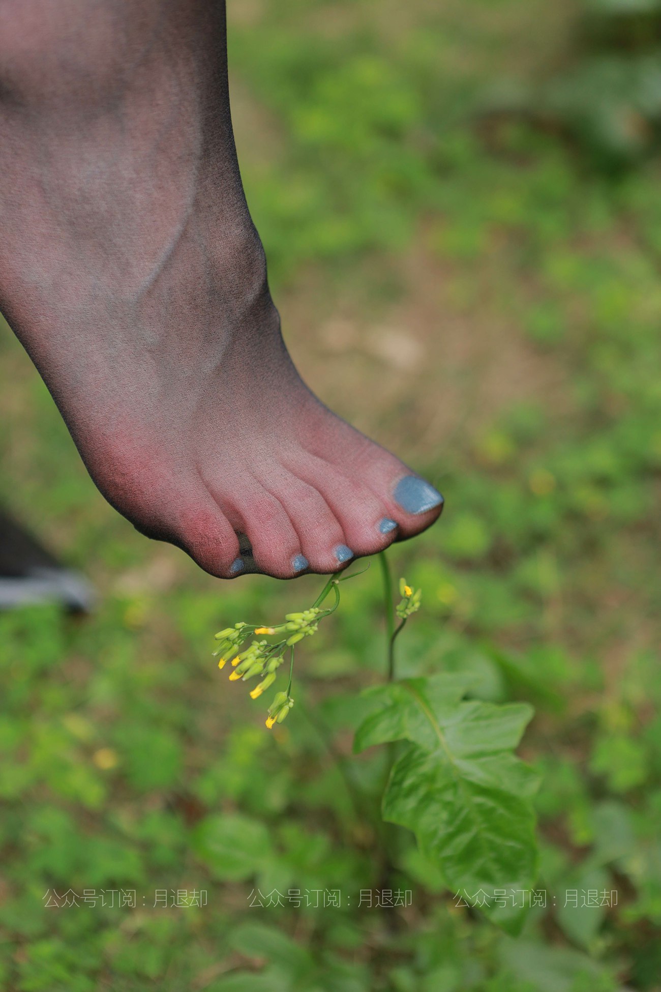 图片[21]-[IESS异思趣向] 耽丝 210322 佳爷的小彩蛋 [90P] – 速更版-美库