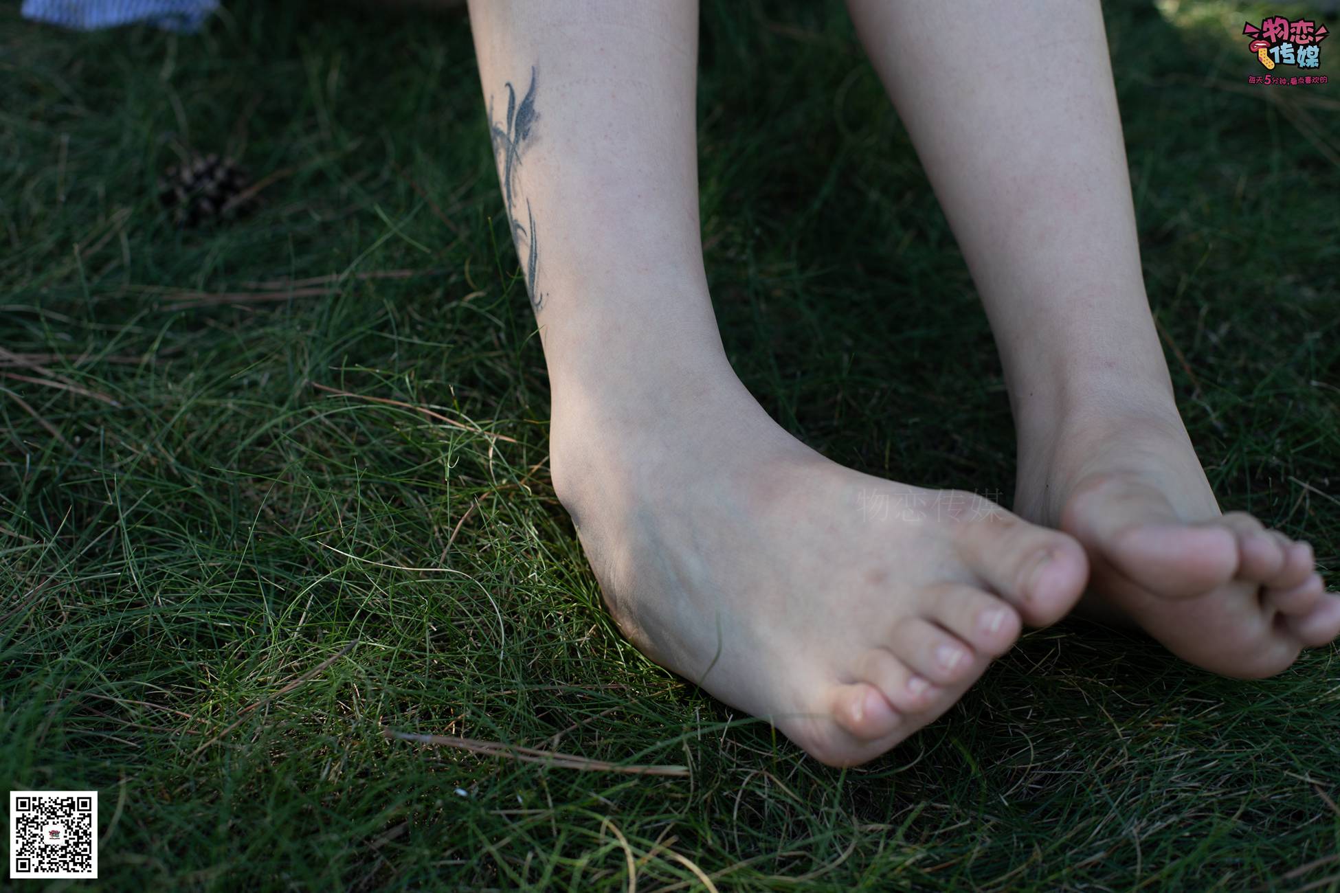 图片[155]-物恋传媒 No.056 眼神犀利,表情高冷小姐姐的深蓝色棉袜 [160P] – 速更版-美库