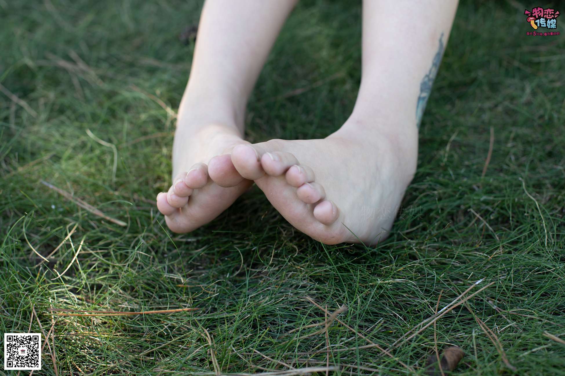 图片[157]-物恋传媒 No.056 眼神犀利,表情高冷小姐姐的深蓝色棉袜 [160P] – 速更版-美库