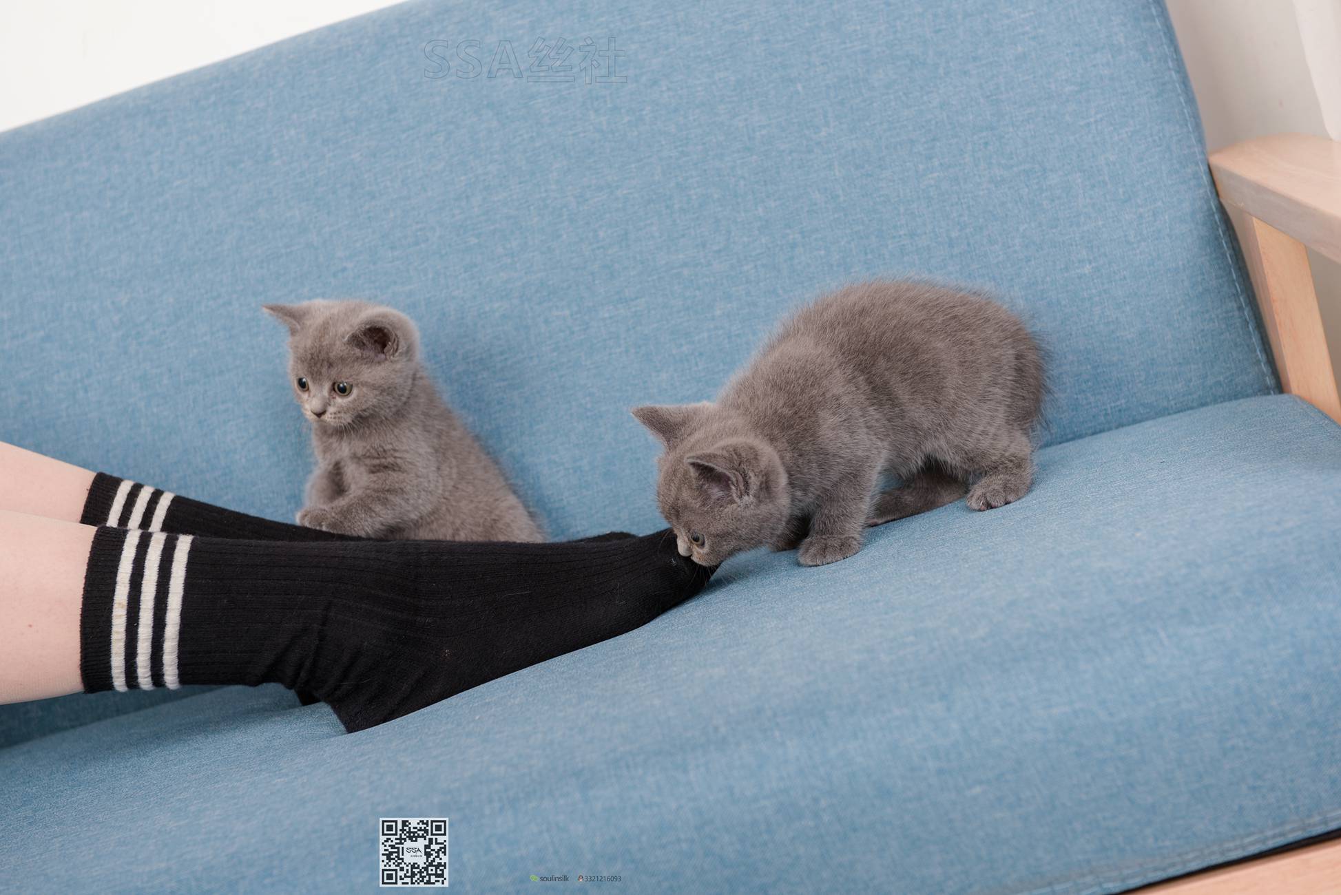 图片[67]-[SSA丝社]超清写真 NO.141 丹丹 JK制服黑色半膝袜肉丝穿搭示范[133P] – 速更版-美库