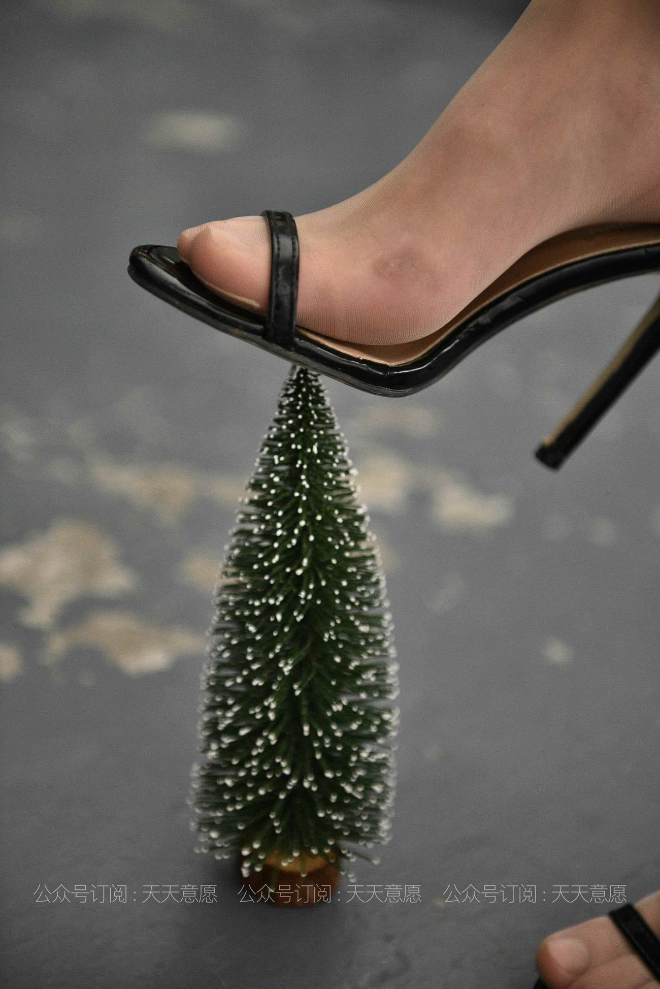 图片[22]-[IESS异思趣向] 耽丝 210421 小六 约我下午茶 [86P] – 速更版-美库