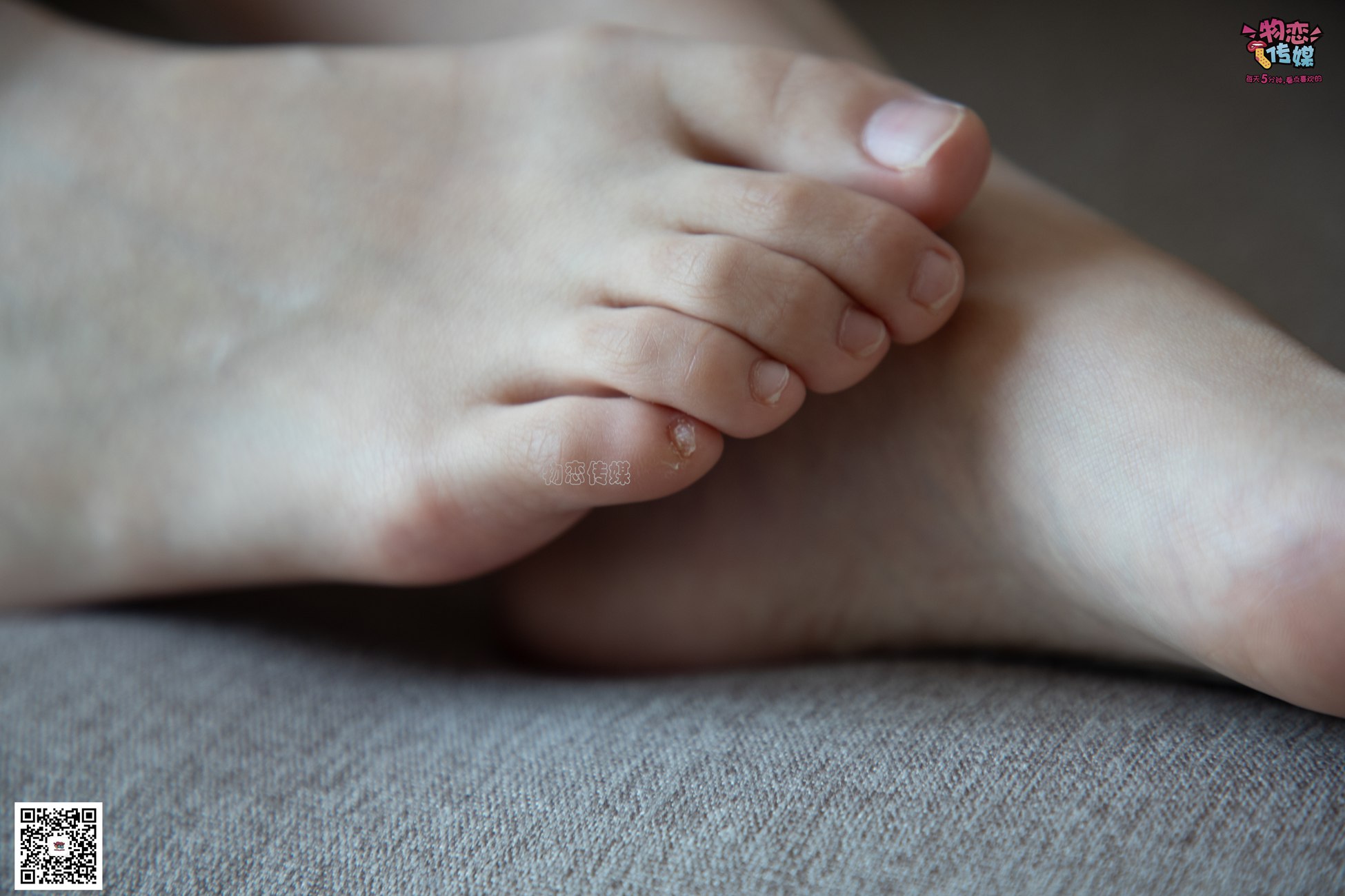 图片[247]-物恋传媒 No.082 薇安-来自英语专业的另一位学霸姐姐 [310P] – 速更版-美库