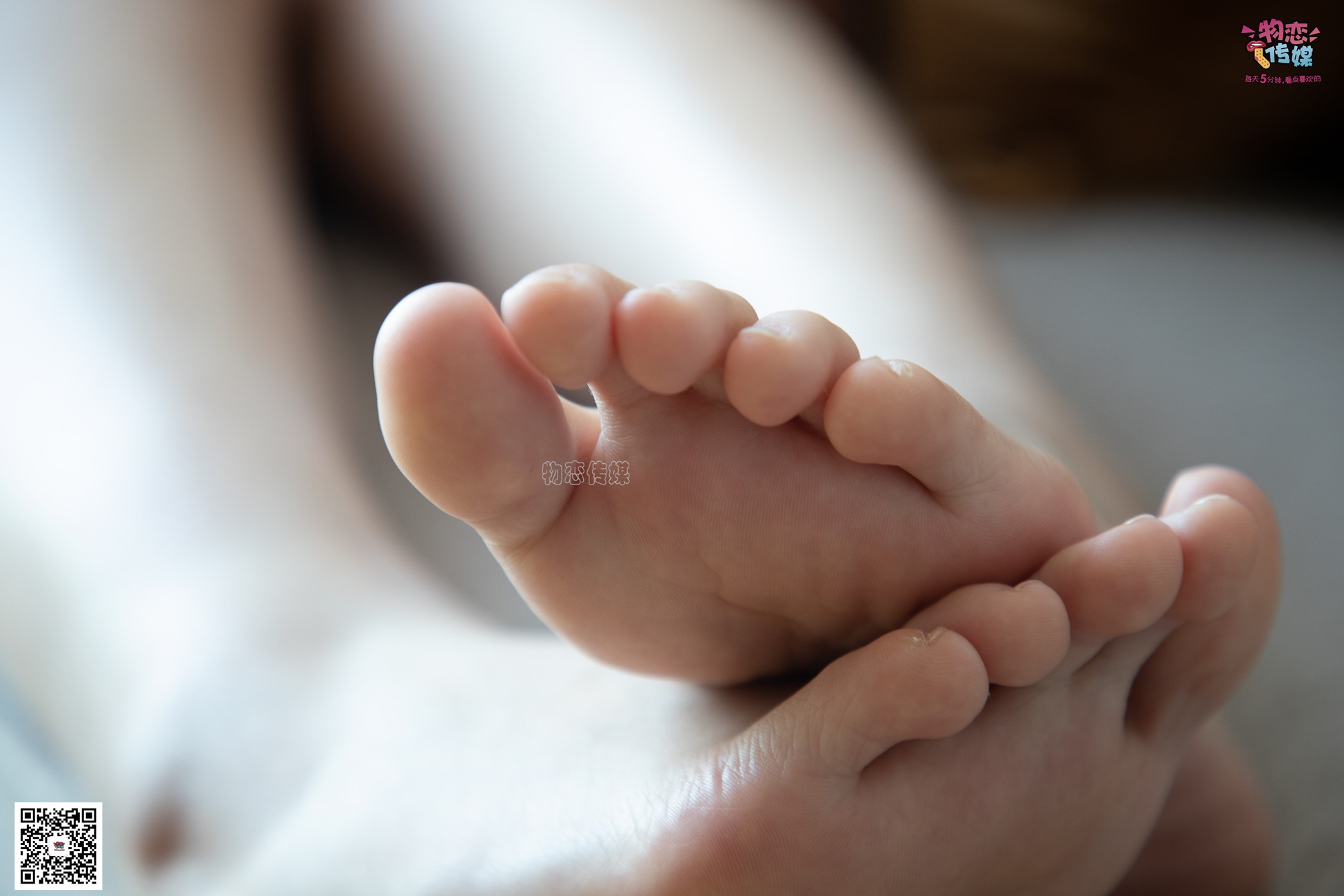 图片[291]-物恋传媒 No.082 薇安-来自英语专业的另一位学霸姐姐 [310P] – 速更版-美库