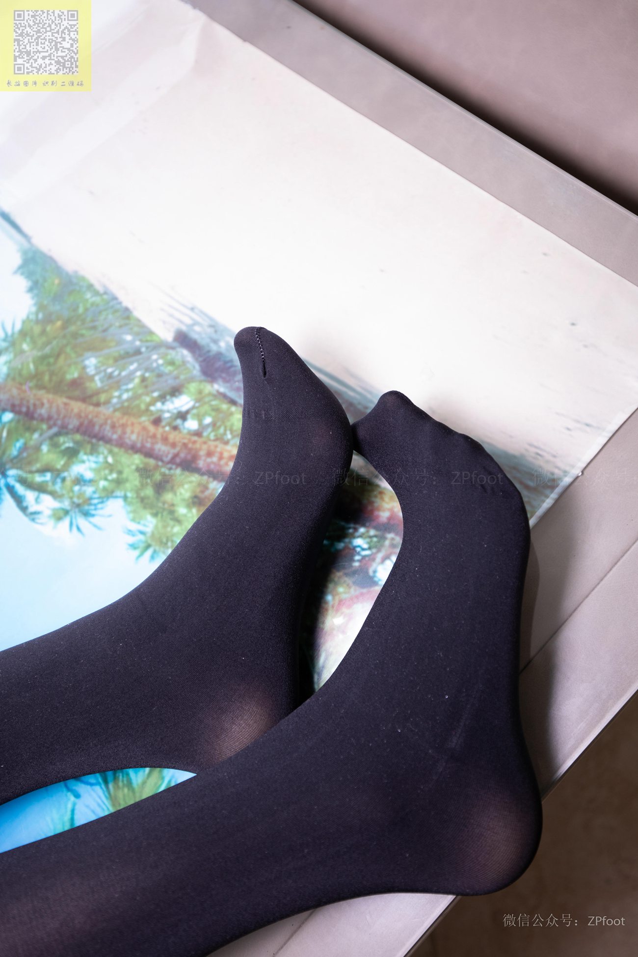 图片[79]-[LSS山茶摄影] NO.303 酸奶掉在丝袜上 [99P] – 速更版-美库