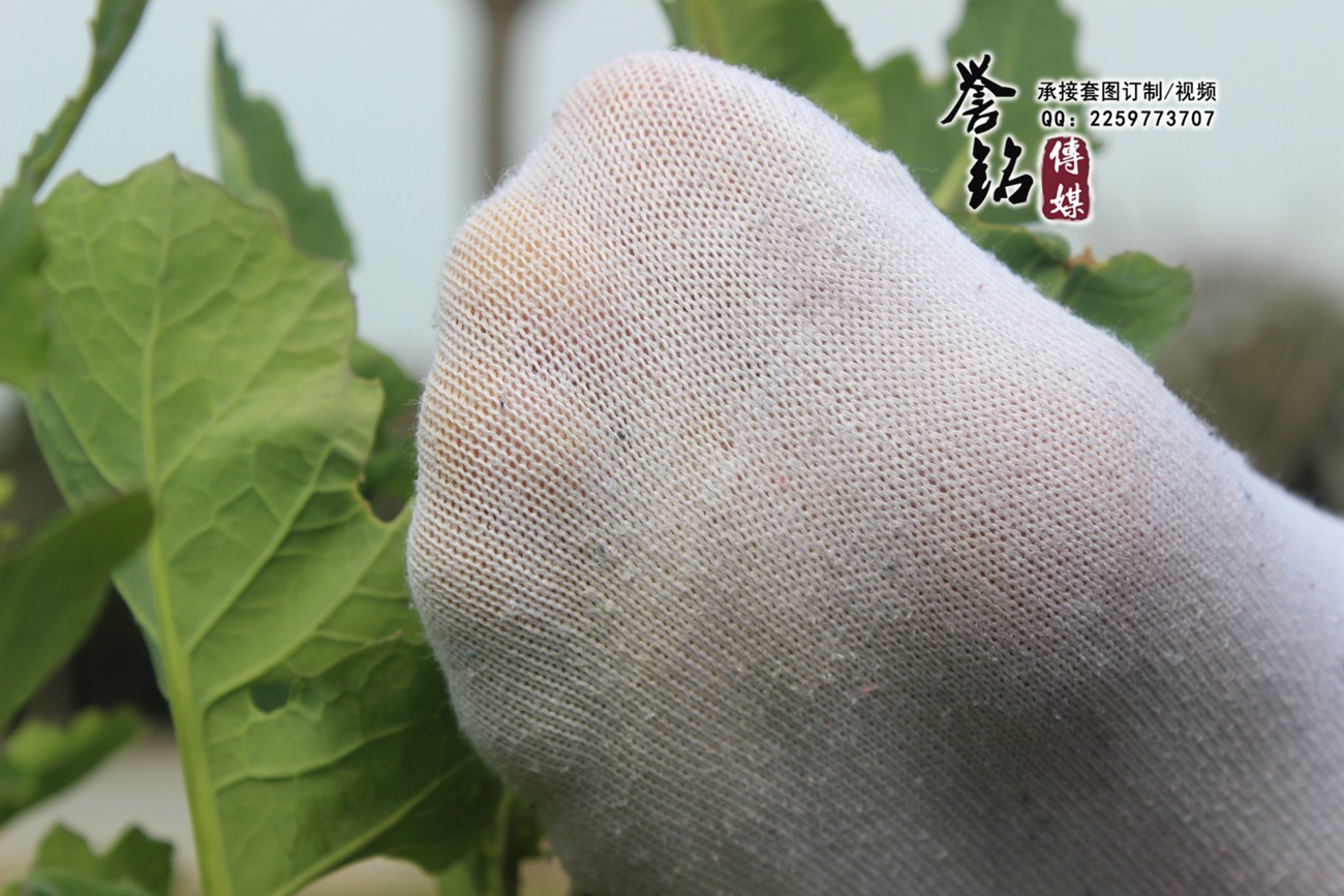 图片[39]-誉铭传媒010 – 2015《十》[88P] – 速更版-美库