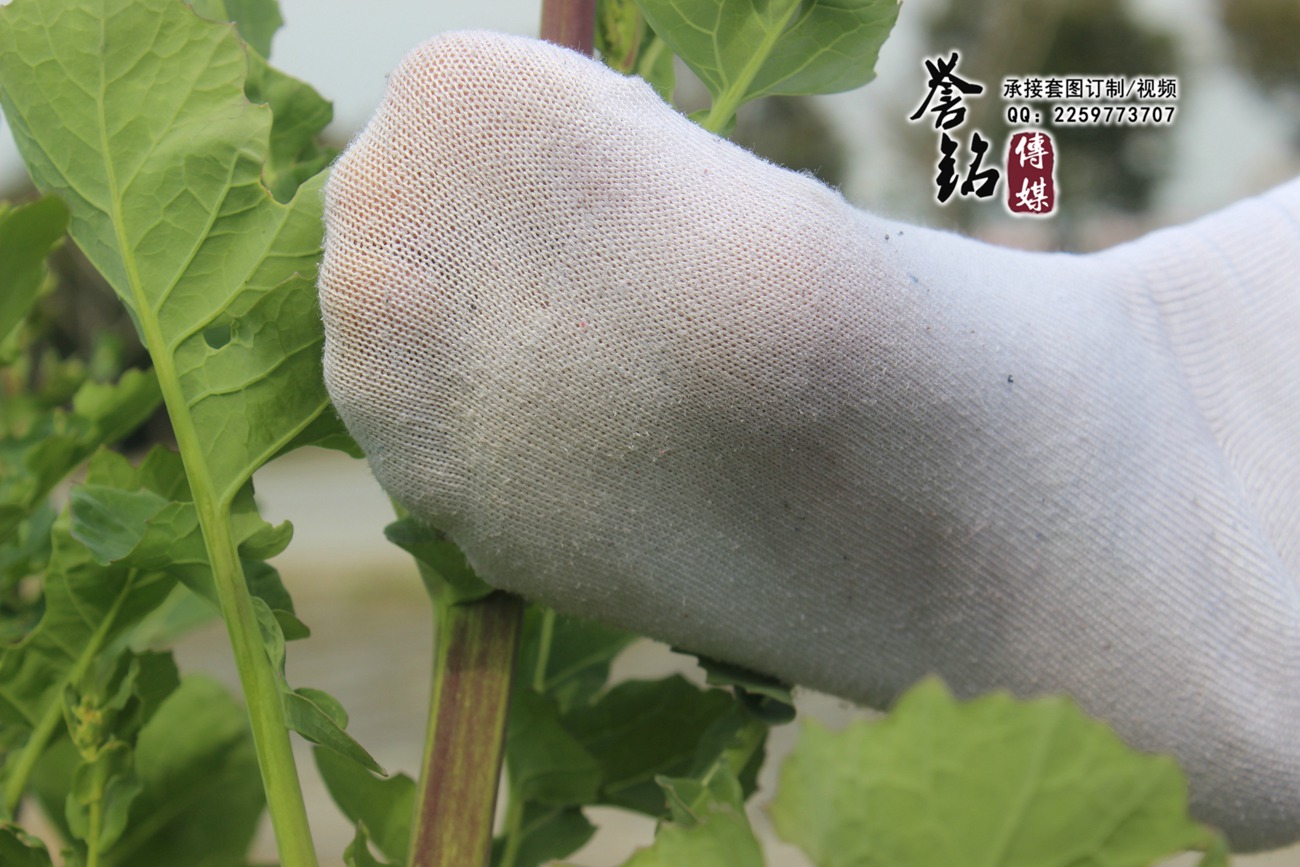 图片[40]-誉铭传媒010 – 2015《十》[88P] – 速更版-美库