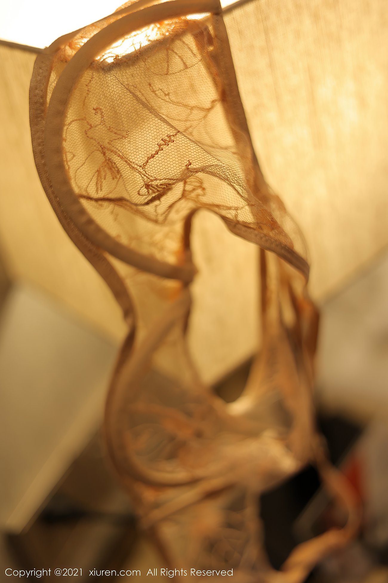 图片[111]-[XIUREN秀人网] 2021.06.25 No.3587 朱可儿Flower [111P] – 速更版-美库