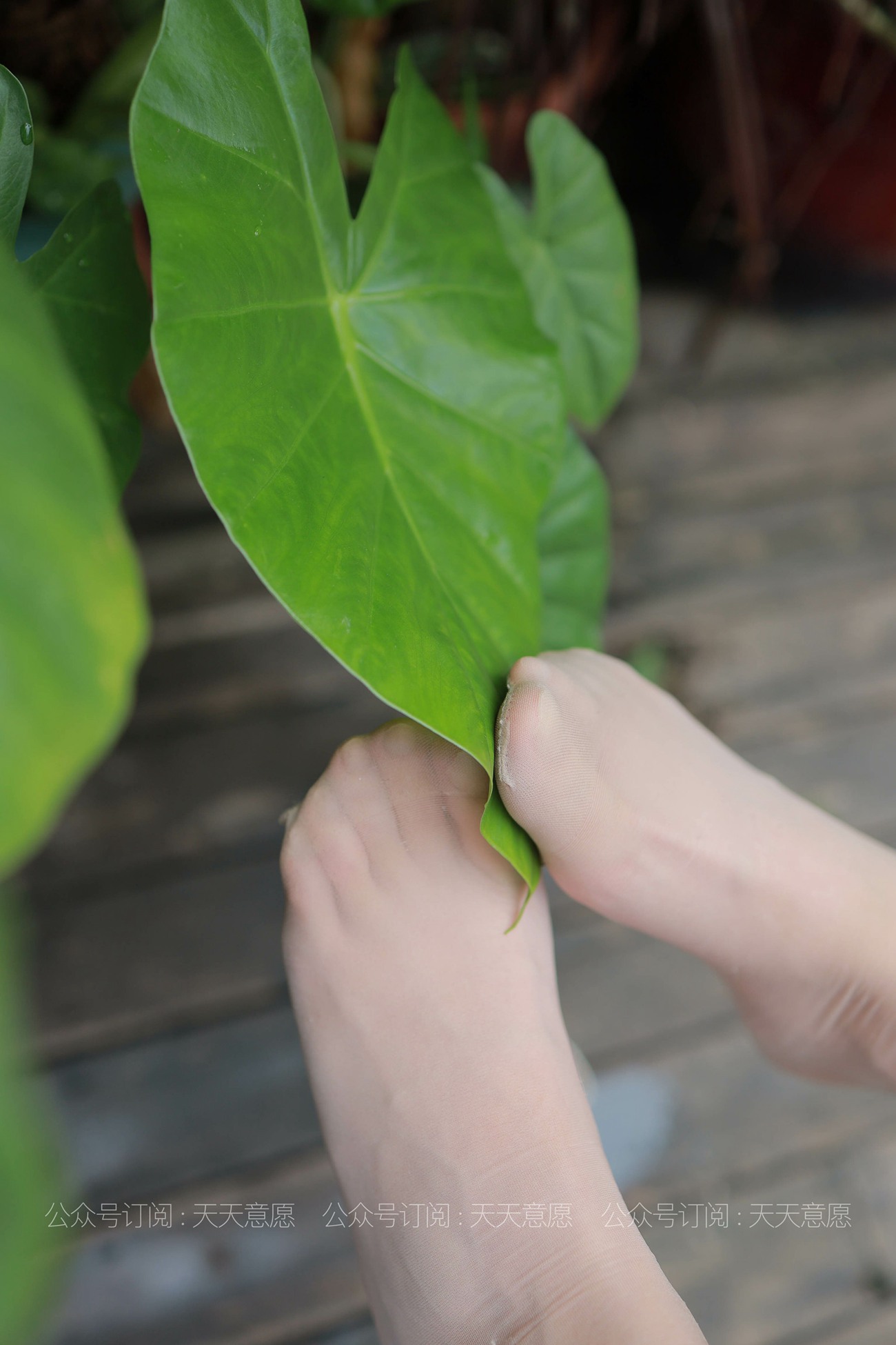 图片[35]-[IESS异思趣向] 耽丝 20210701 婉苹的粉色短裙 [88P] – 速更版-美库