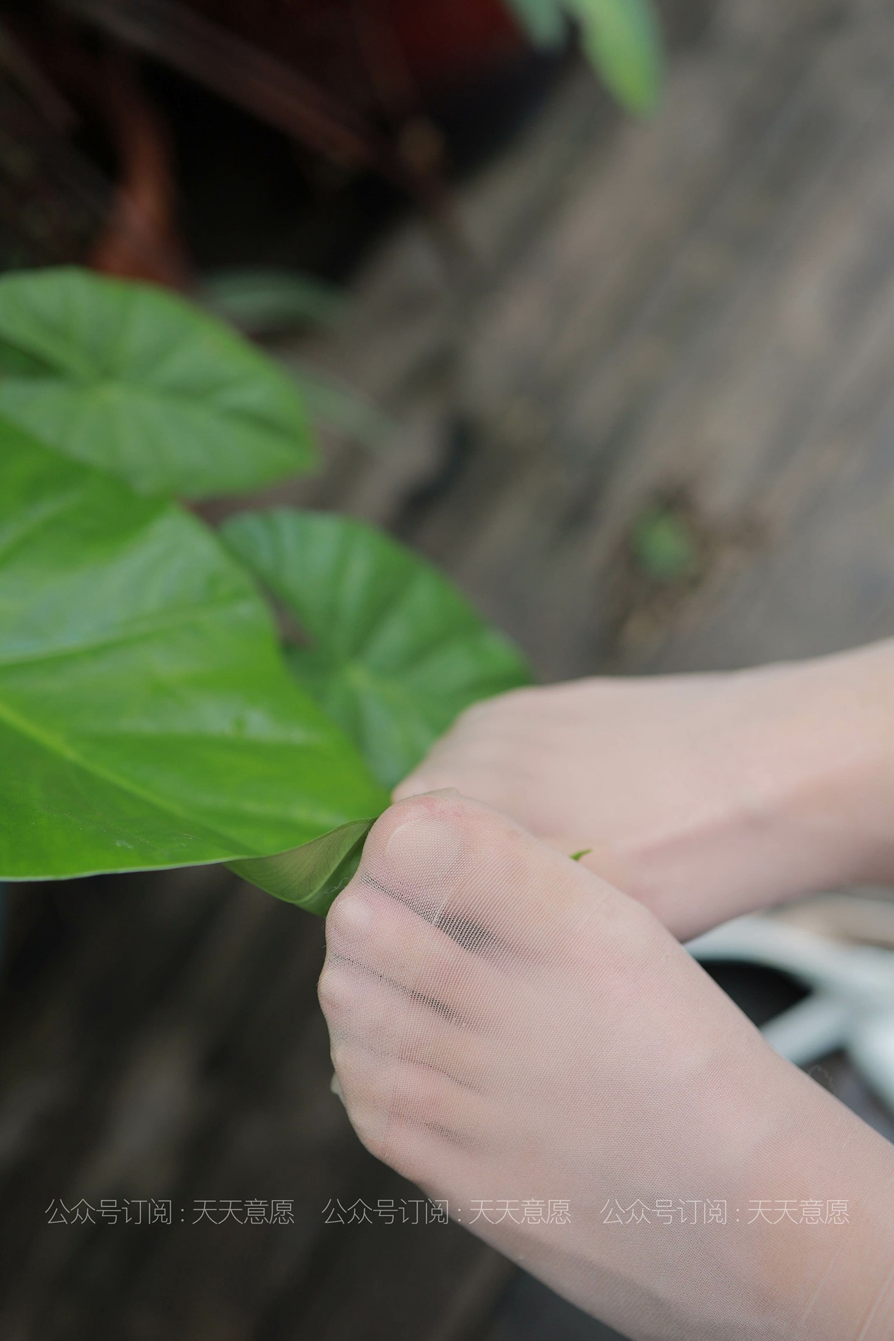 图片[36]-[IESS异思趣向] 耽丝 20210701 婉苹的粉色短裙 [88P] – 速更版-美库