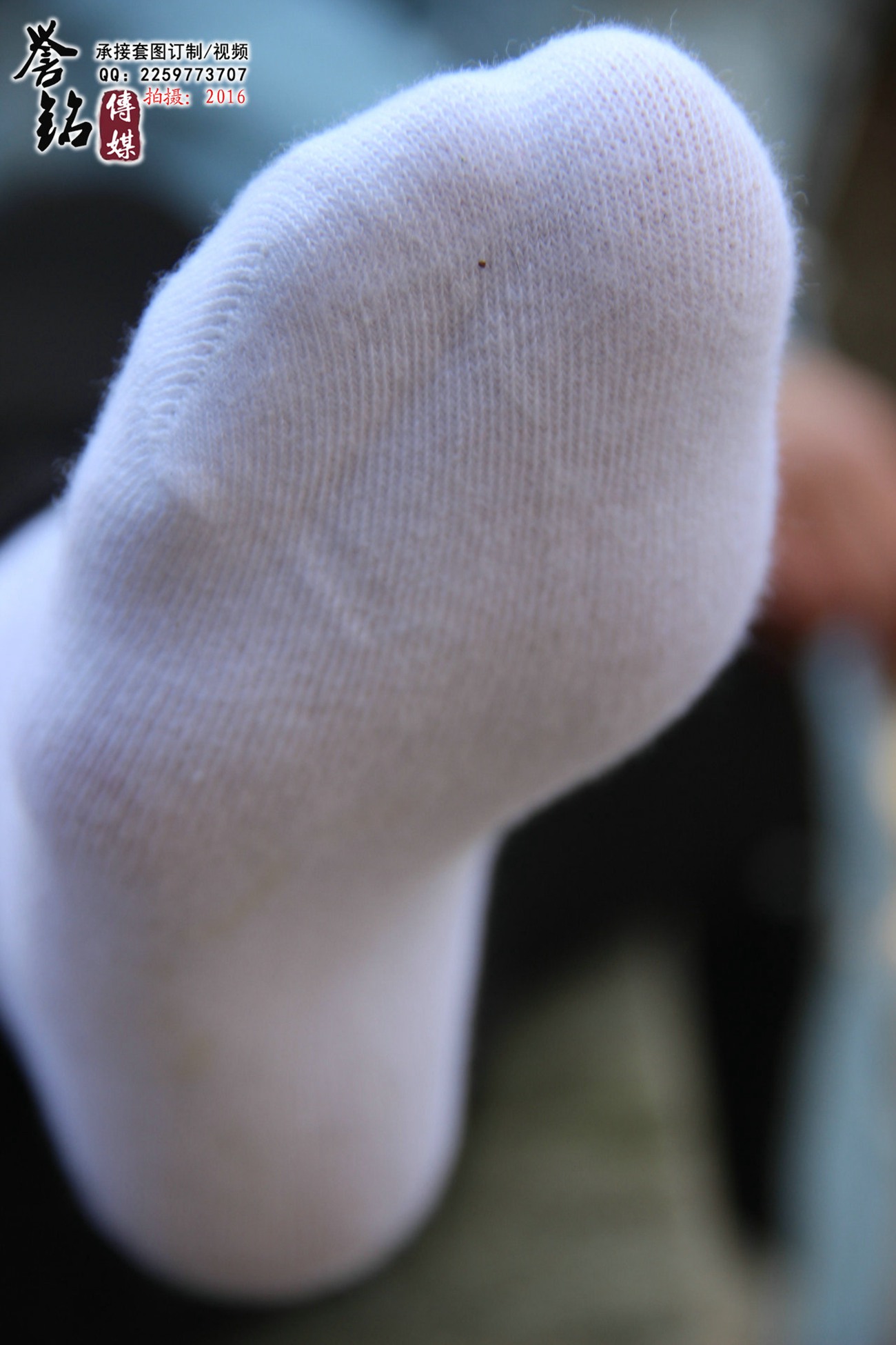 图片[48]-誉铭传媒050- 2016《五十》[74P] – 速更版-美库