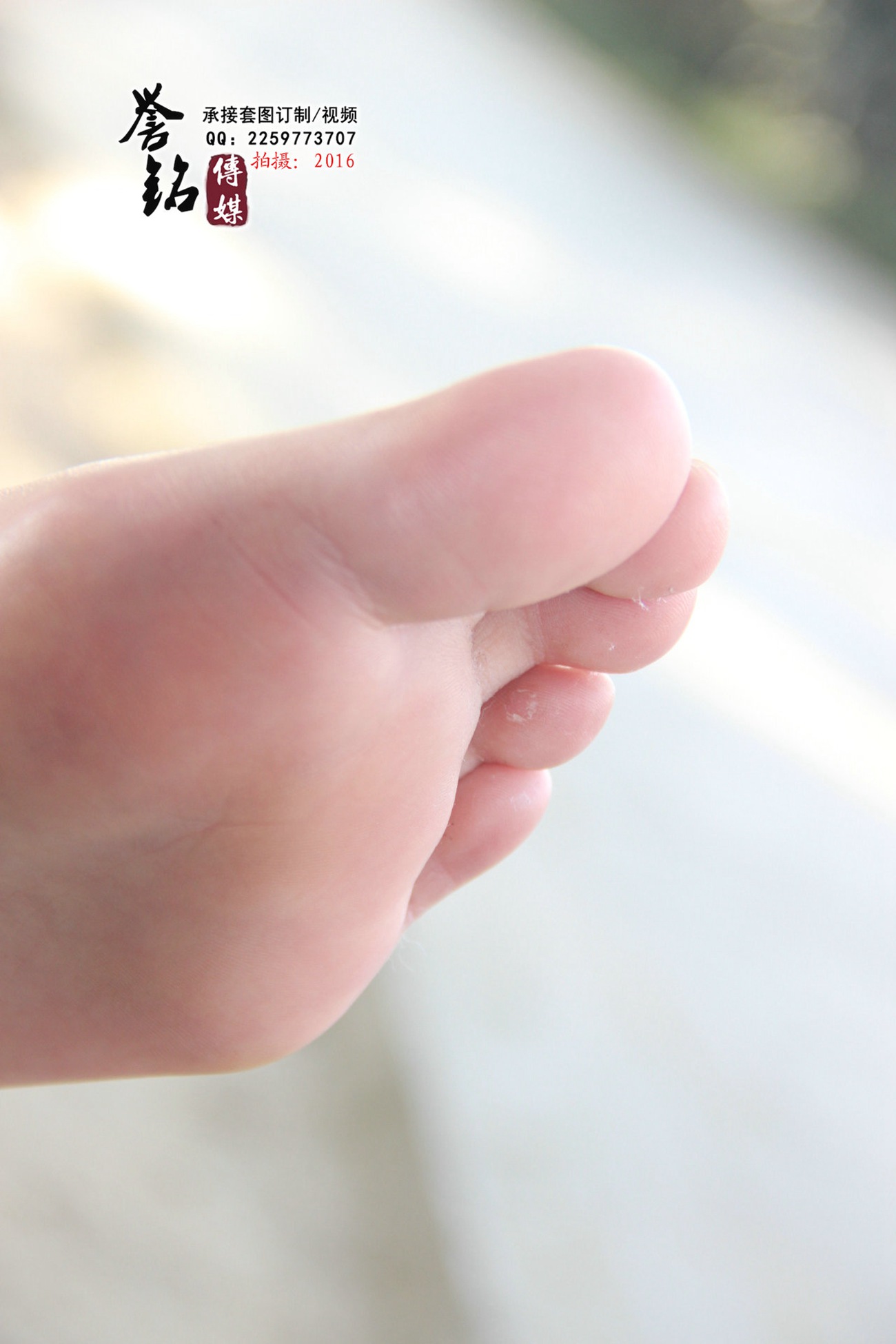 图片[74]-誉铭传媒051- 2016《五十一》[81P] – 速更版-美库